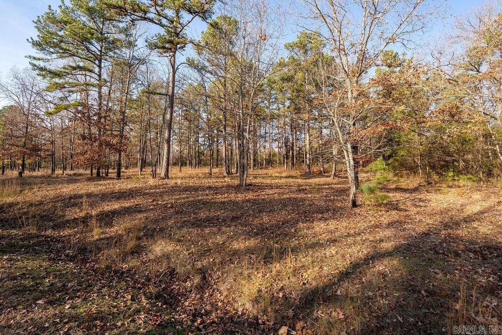 Primrose Creek Sayles - Land