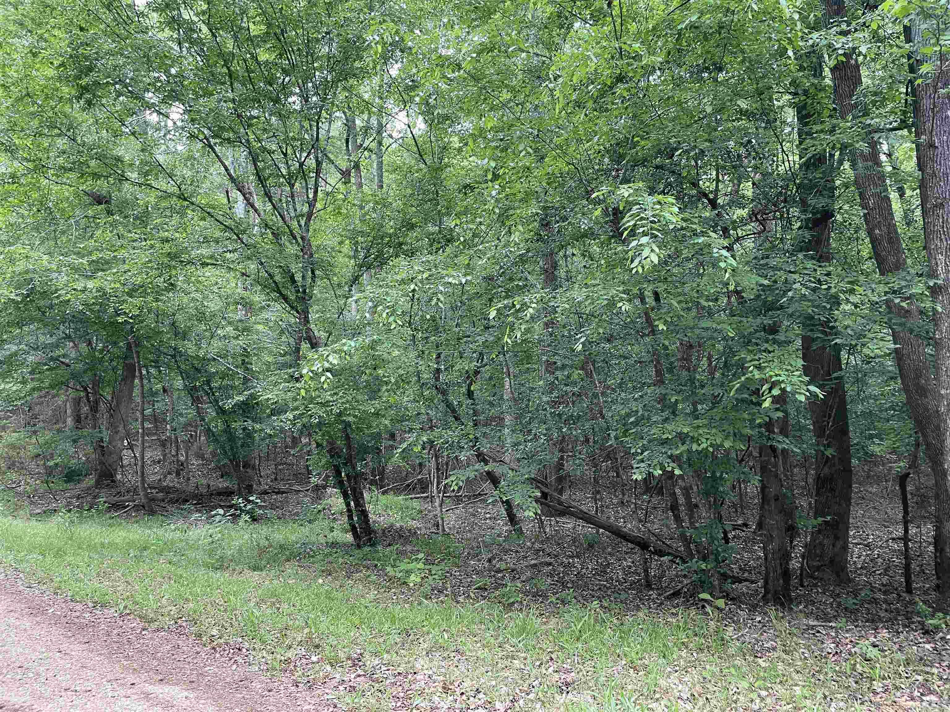 4.5 acres, more or less, wooded, high way frontage