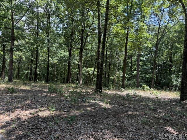 Hillcrest Woods - Land