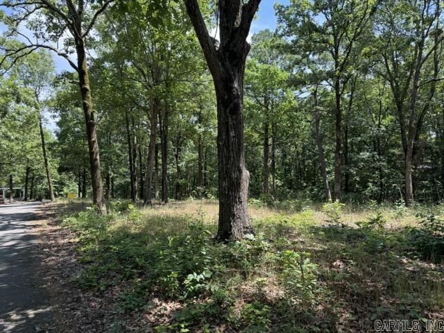 Hillcrest Woods - Land