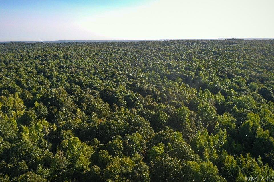 An expanse of hardwoods is what one would expect from a property named, “The Oaks on Crowley’s Ridge,” and an expanse of hardwoods is what one finds.  977.3 acres of timber, trails, and wildlife will greet the new owner of this property.    With its last timber harvested approximately forty (40) years ago, this property features hardwood timber in the prime of life.  Reforestation was done naturally, and it shows, as the property lacks the boring, straight lines of plantation style timber.  Understory is abundant and browse is found throughout.  The highlights are the white oaks in the prime of life shining for the world to see.    The trail network here is expansive providing miles of track for the outdoor enthusiast to travel.  While these trails have been used by hunters to access game, they also work for the hiker or mountain biker.  Main trails are situated on ridges while laterals often dip down in the valleys providing access to the creeks below.   Wildlife is abundant and this area is known for big whitetails.  Great wildlife needs great forage and with soil of this quality it is easy to see why the wildlife is so amazing.  Call today!