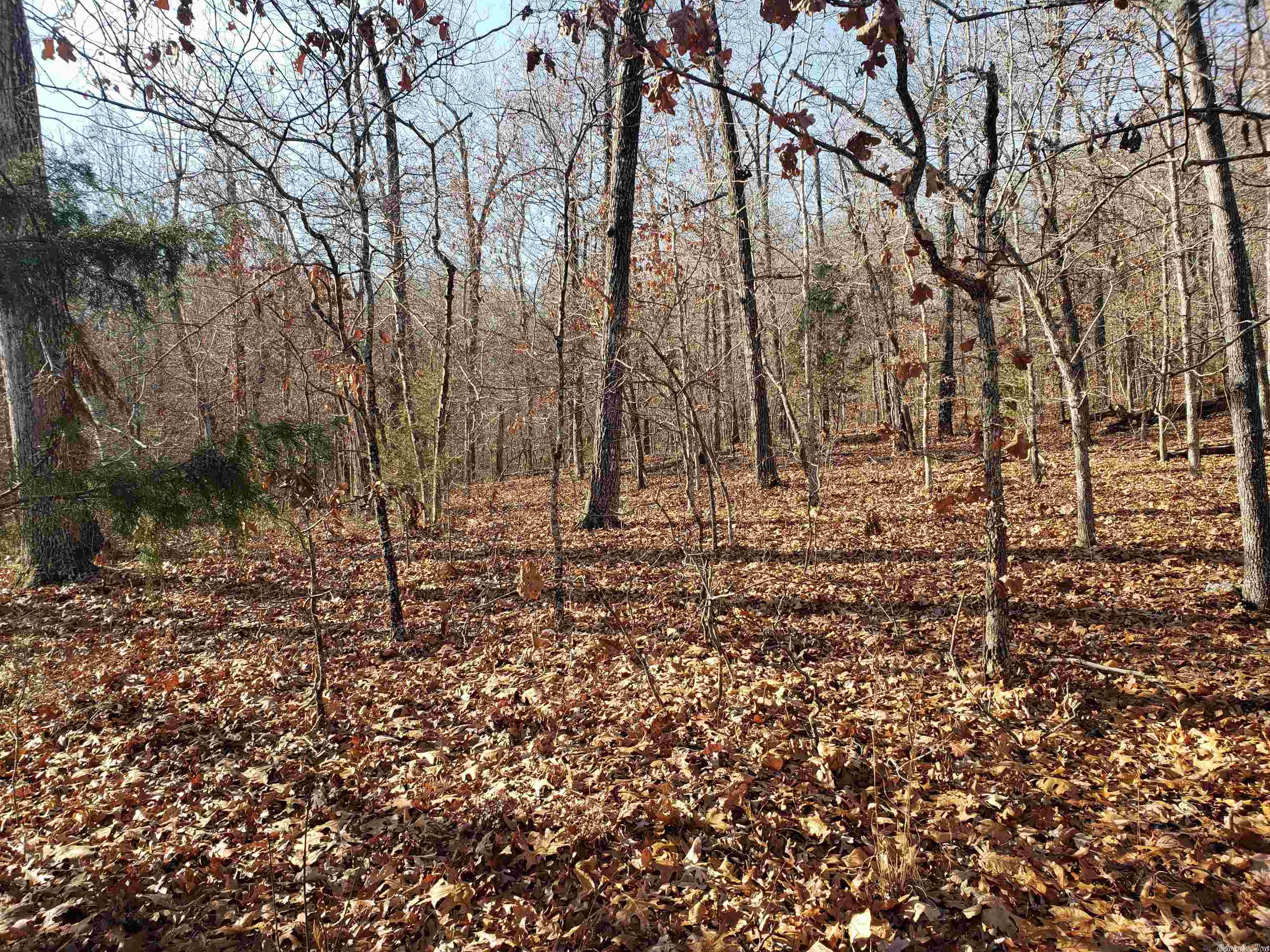 Missouri - Land