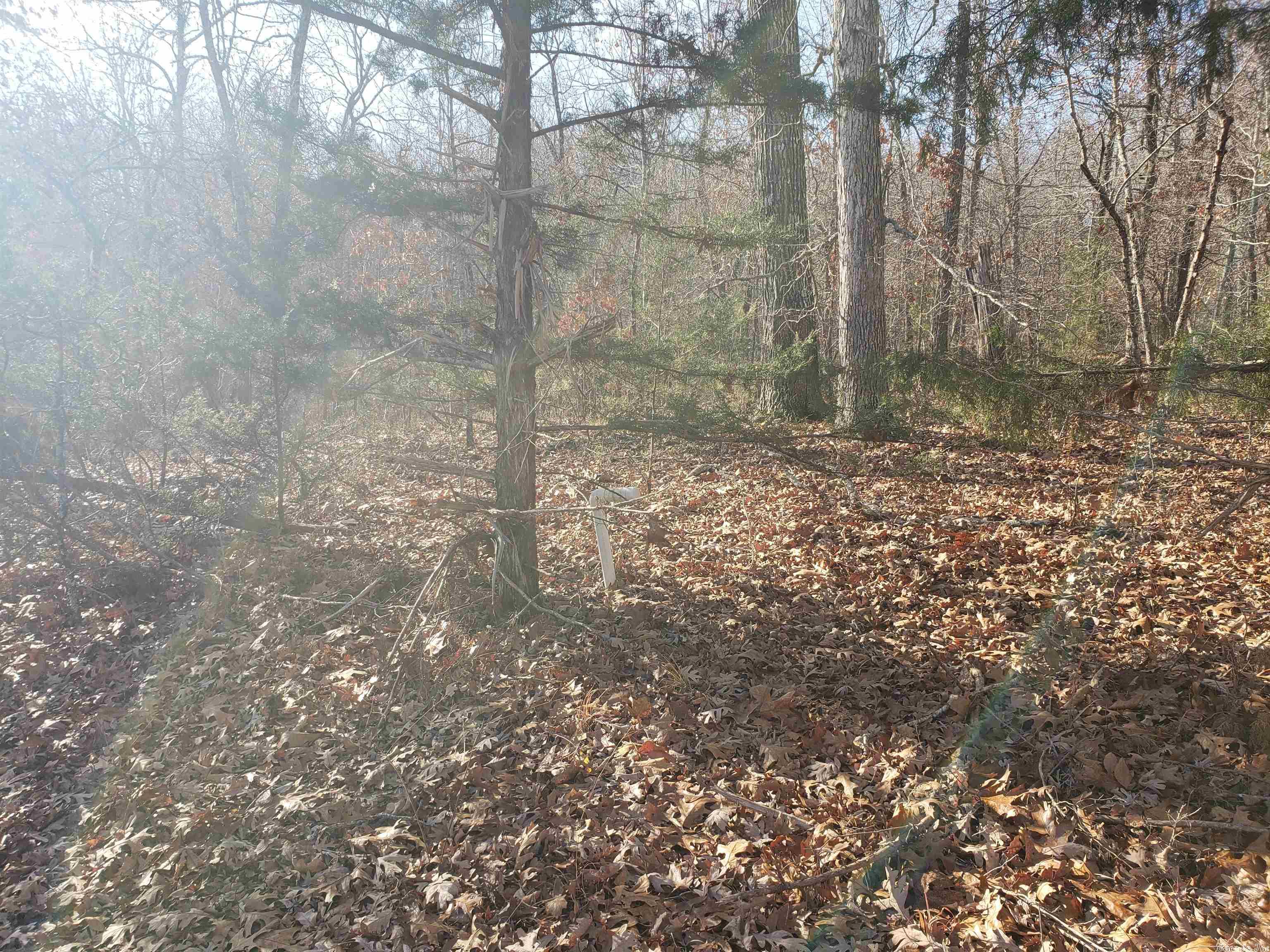 Missouri - Land