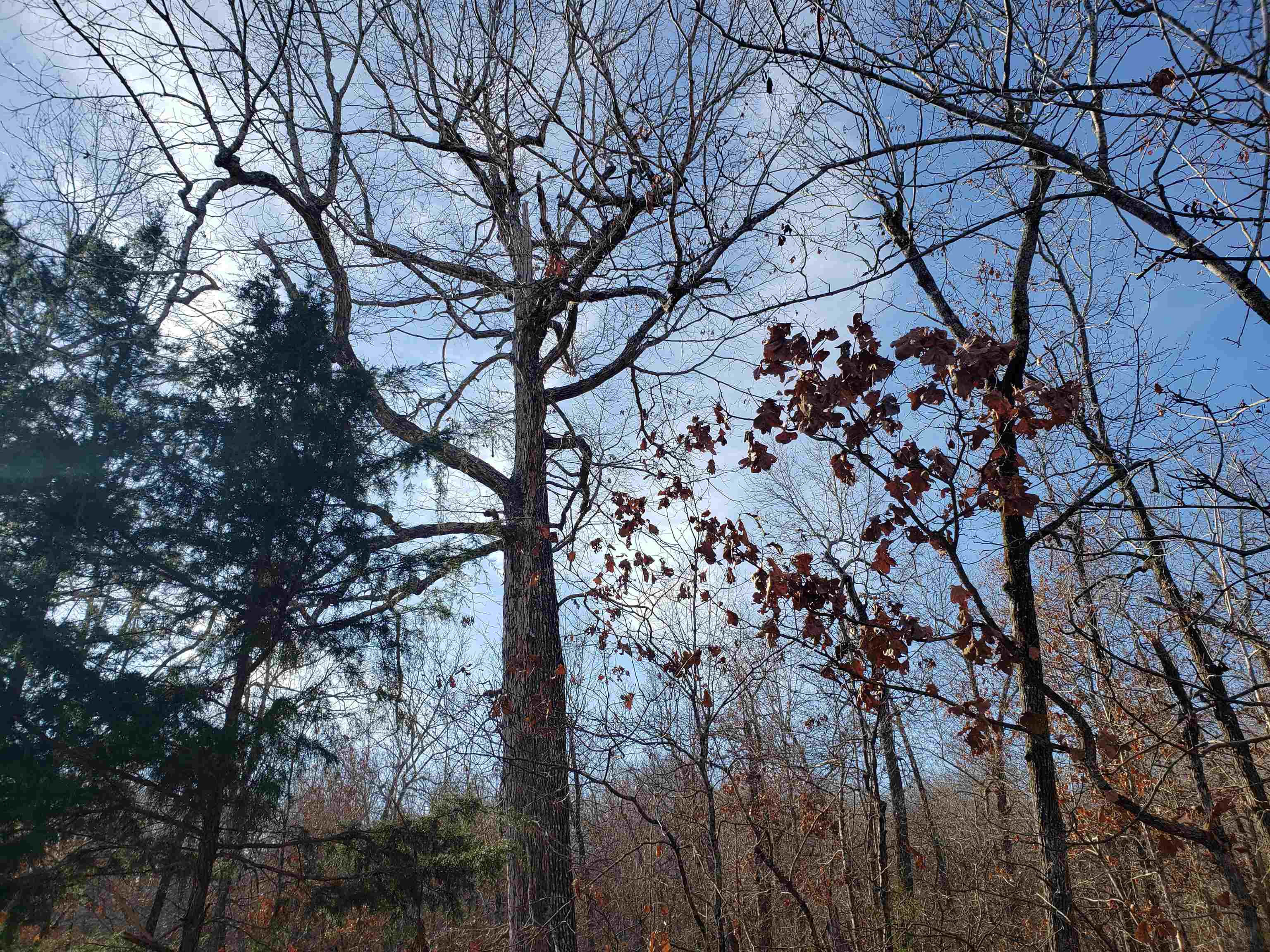 Missouri - Land