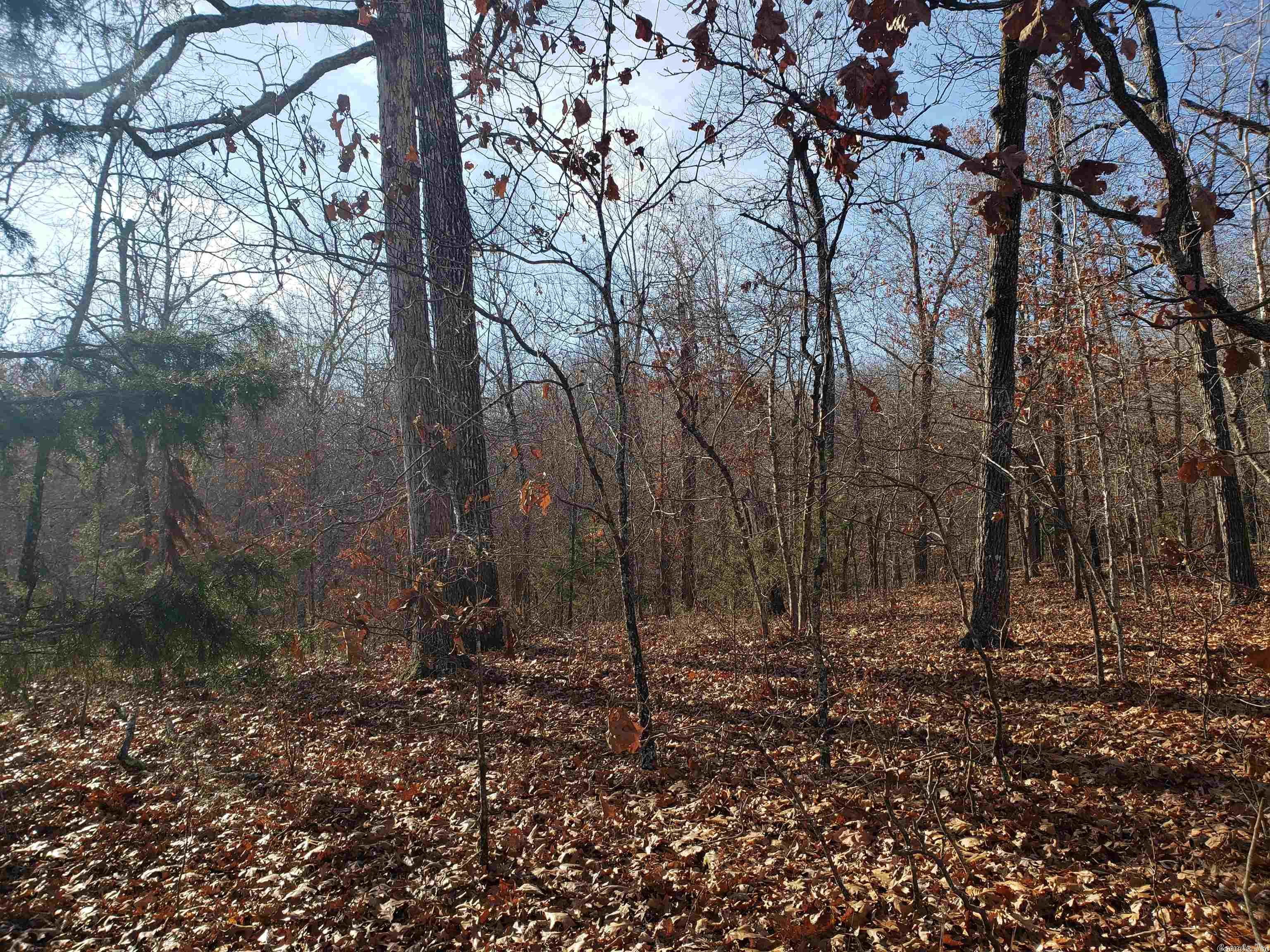 Missouri - Land