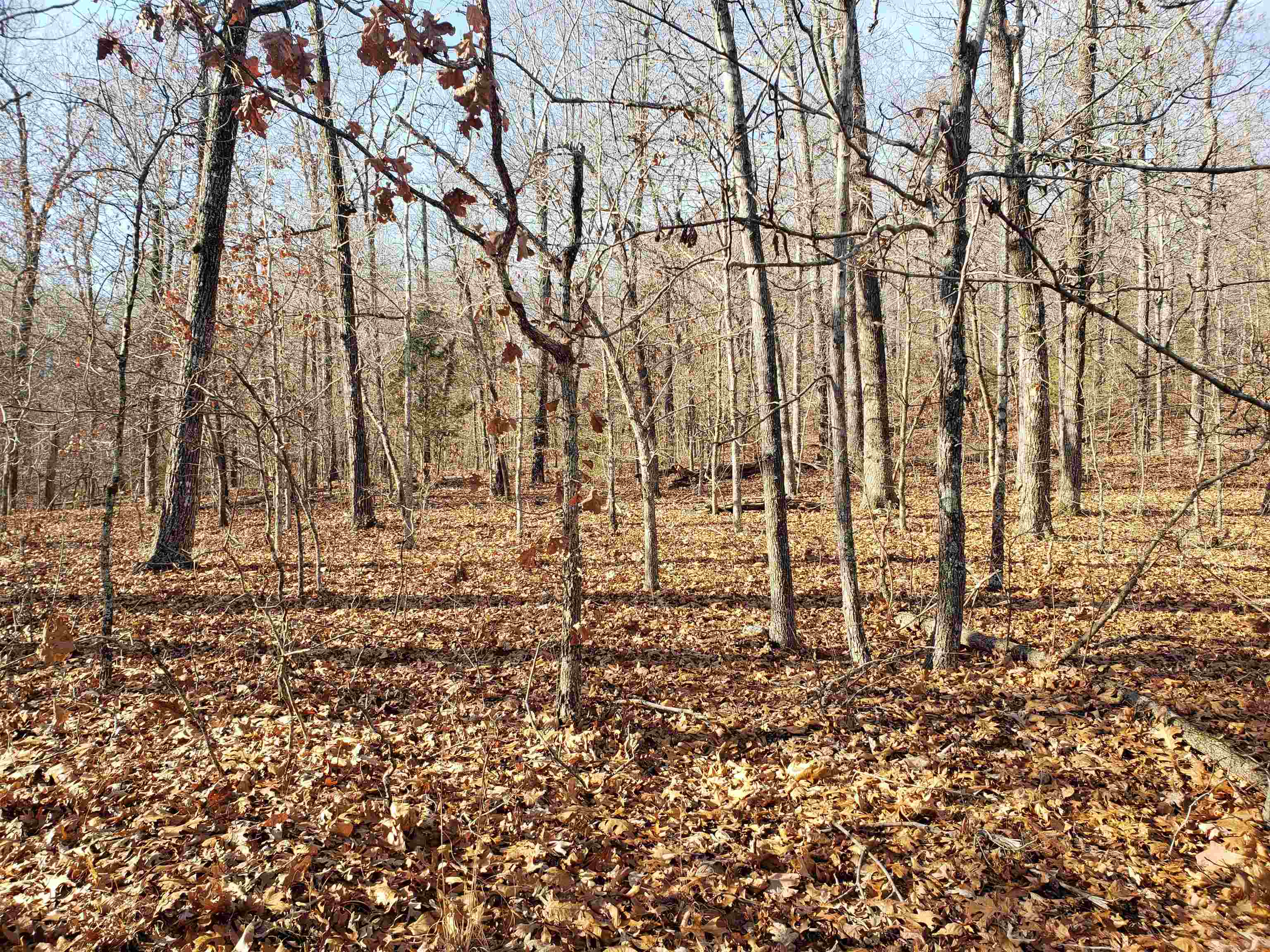 Missouri - Land