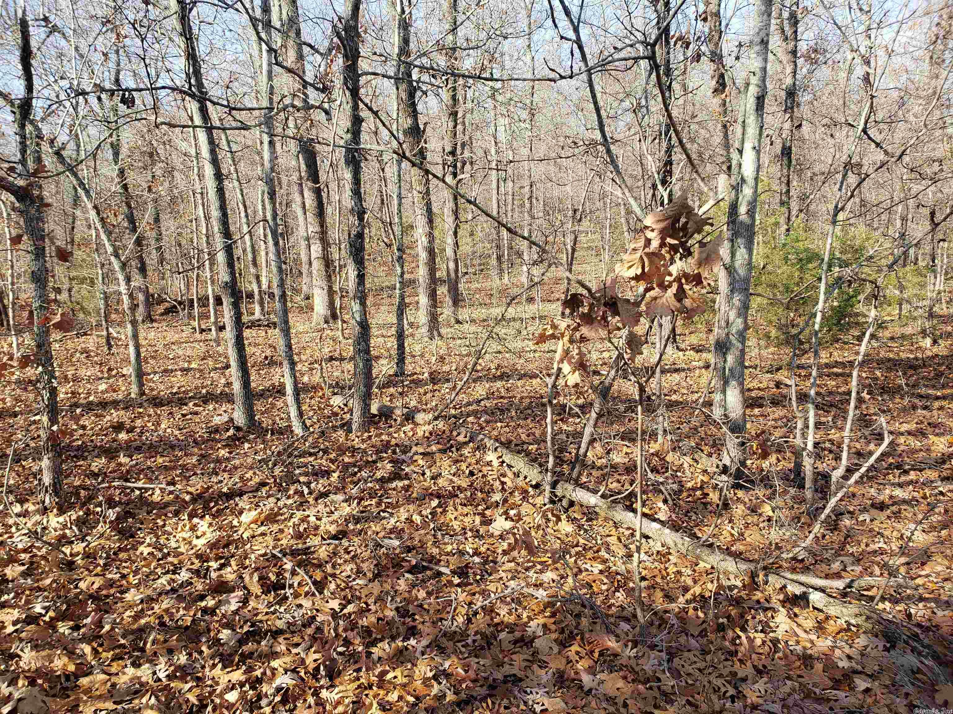 Missouri - Land