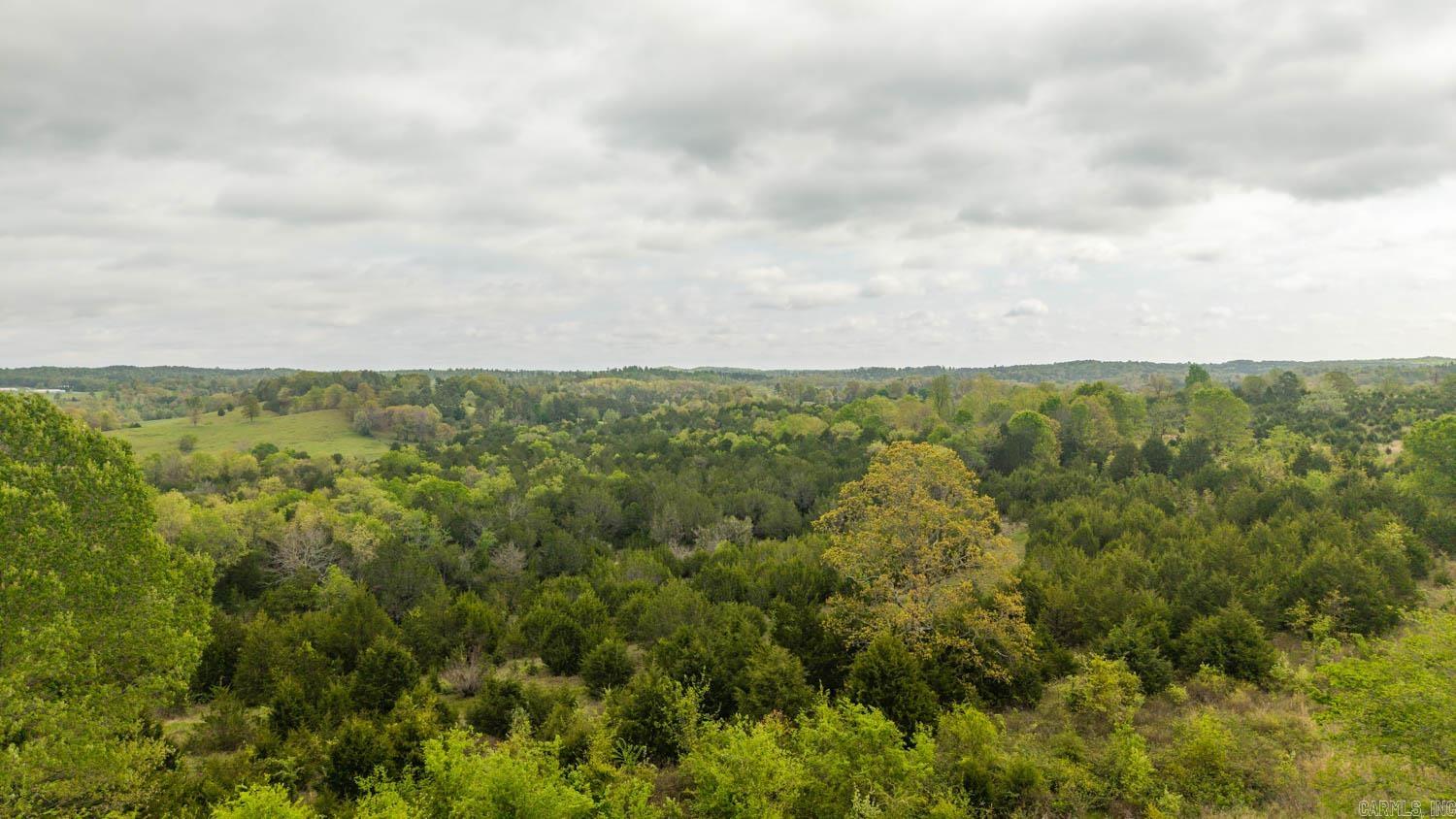Hunting Land Near Norfork Lake | 10 Acres with Open Land & Timber Experience the beauty and flexibility of this 10-acre tract in the peaceful Ozarks near Elizabeth, Arkansas. Featuring a balanced mix of open ground and mature timber, this property offers the ideal setting for a future homesite, weekend getaway, hunting retreat, or recreational escape. The open acreage provides excellent building locations, while the wooded areas offer privacy, shade, and abundant wildlife.  Electricity is available at the property, making future development more convenient. Whether you're looking to build now or invest in land for the future, this versatile tract offers the space, natural beauty, and freedom to create the rural lifestyle you've been dreaming of.