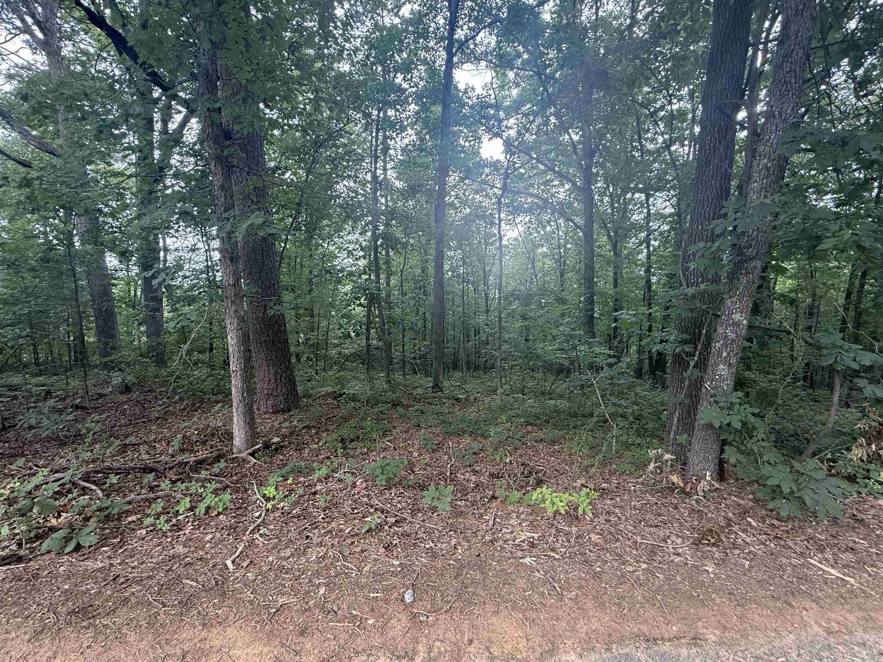 South Shores Park - Land