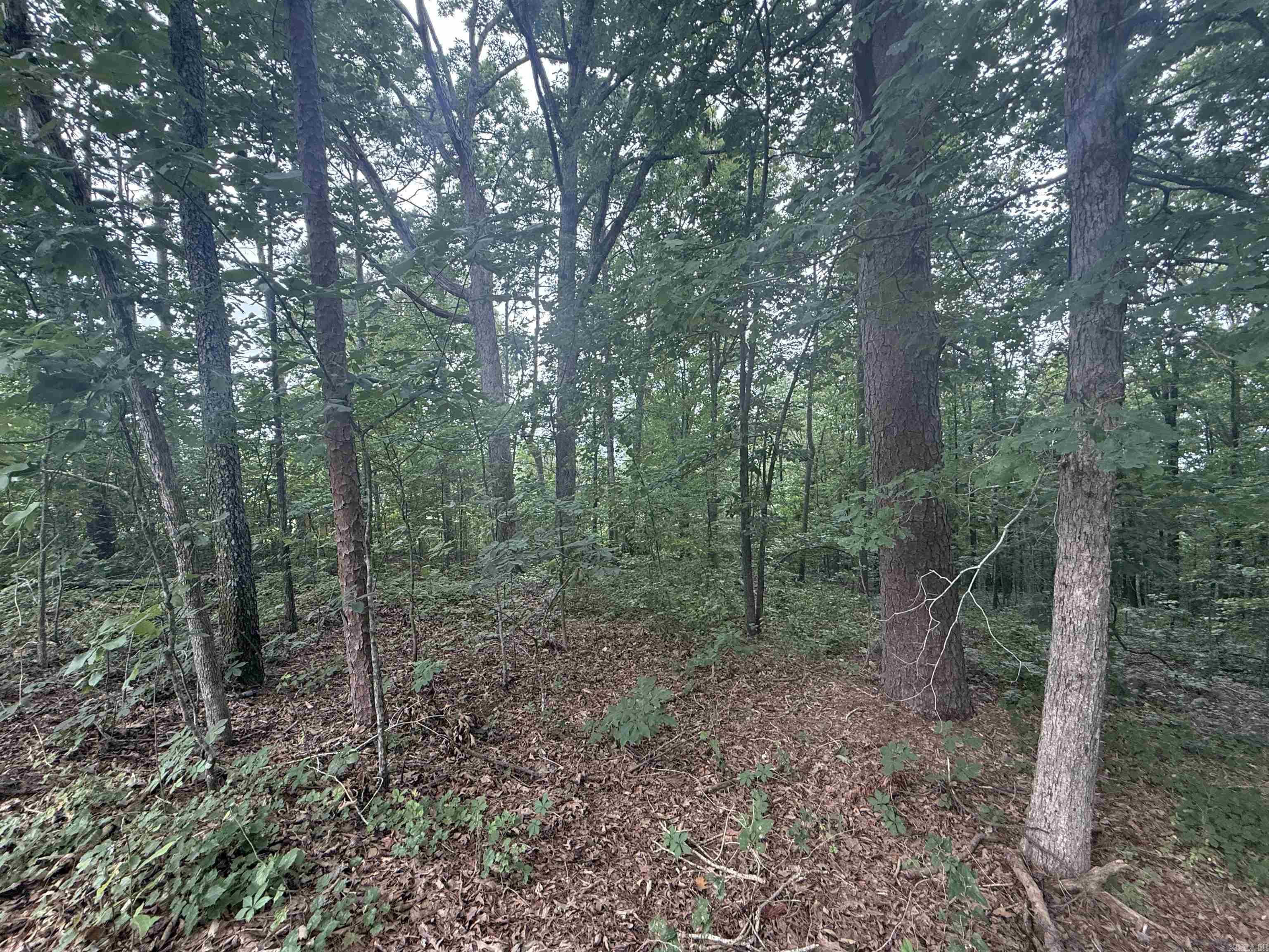 South Shores Park - Land