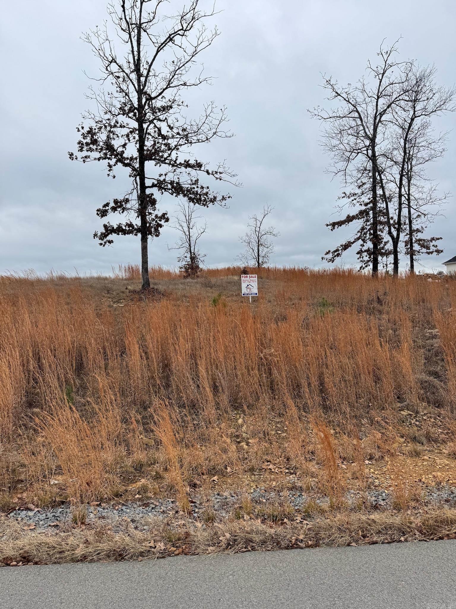 LAKEVIEW WEST - Land