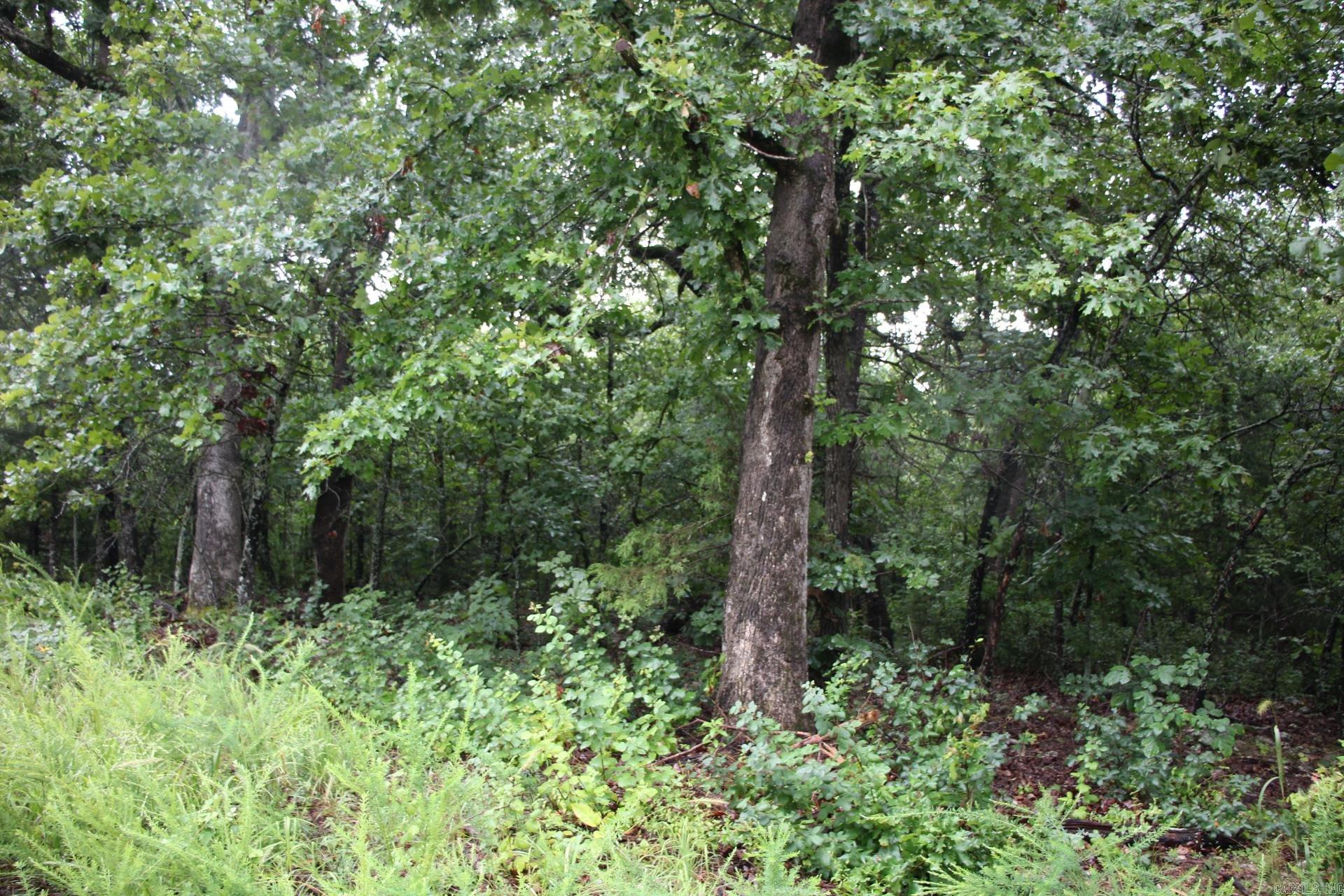 Not in Subdivision - Land
