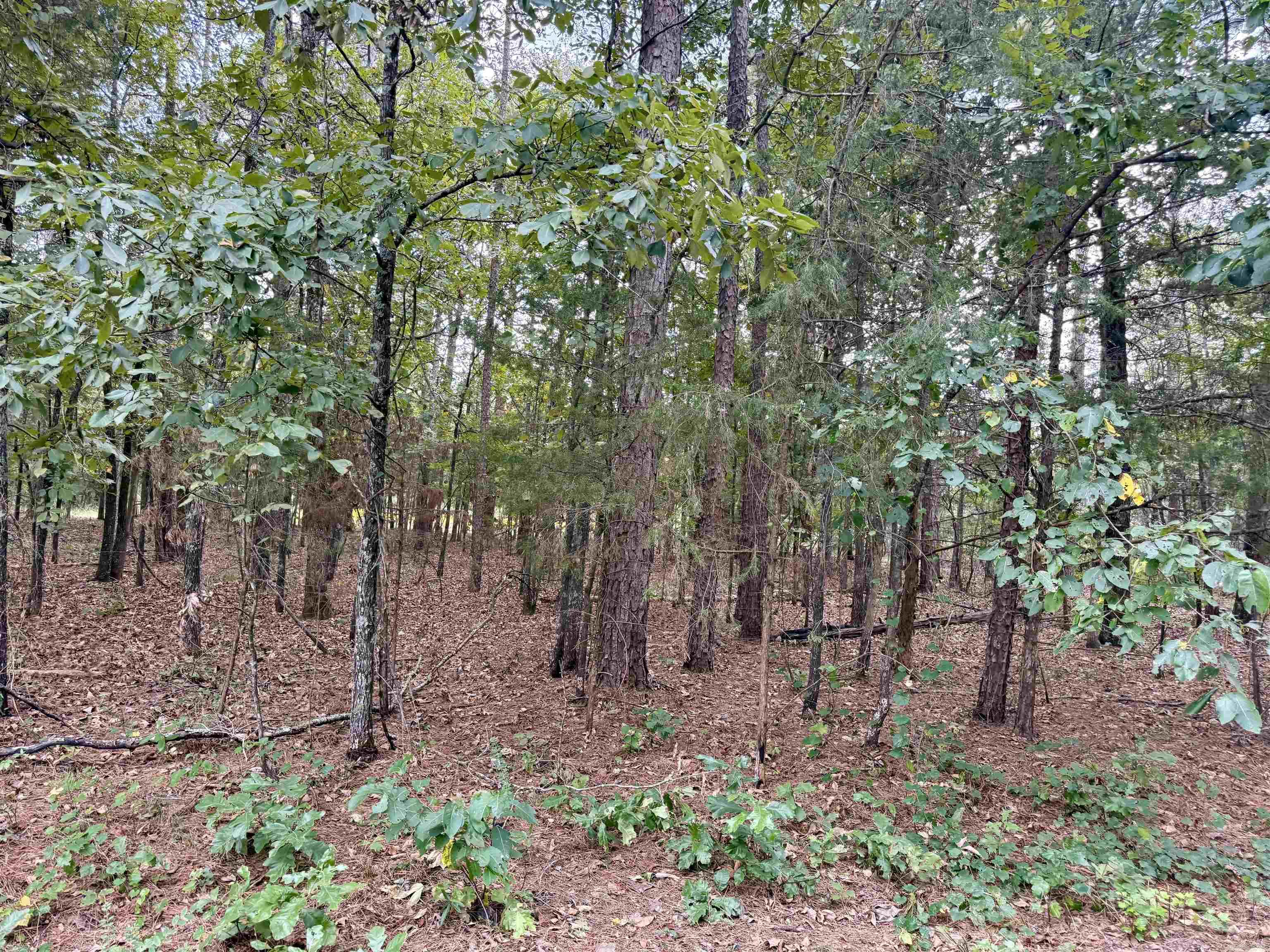 1.31 acre tract. Lots 5 & 6 of Lakeshore Hills II Subdivision. Some utilities available at the road including public water. Perc on file for lot 5. Within a few minutes of Sugarloaf Recreation Park, The Narrows and Millcreek Recreation Park on Greers Ferry Lake. Mobiles allowed.