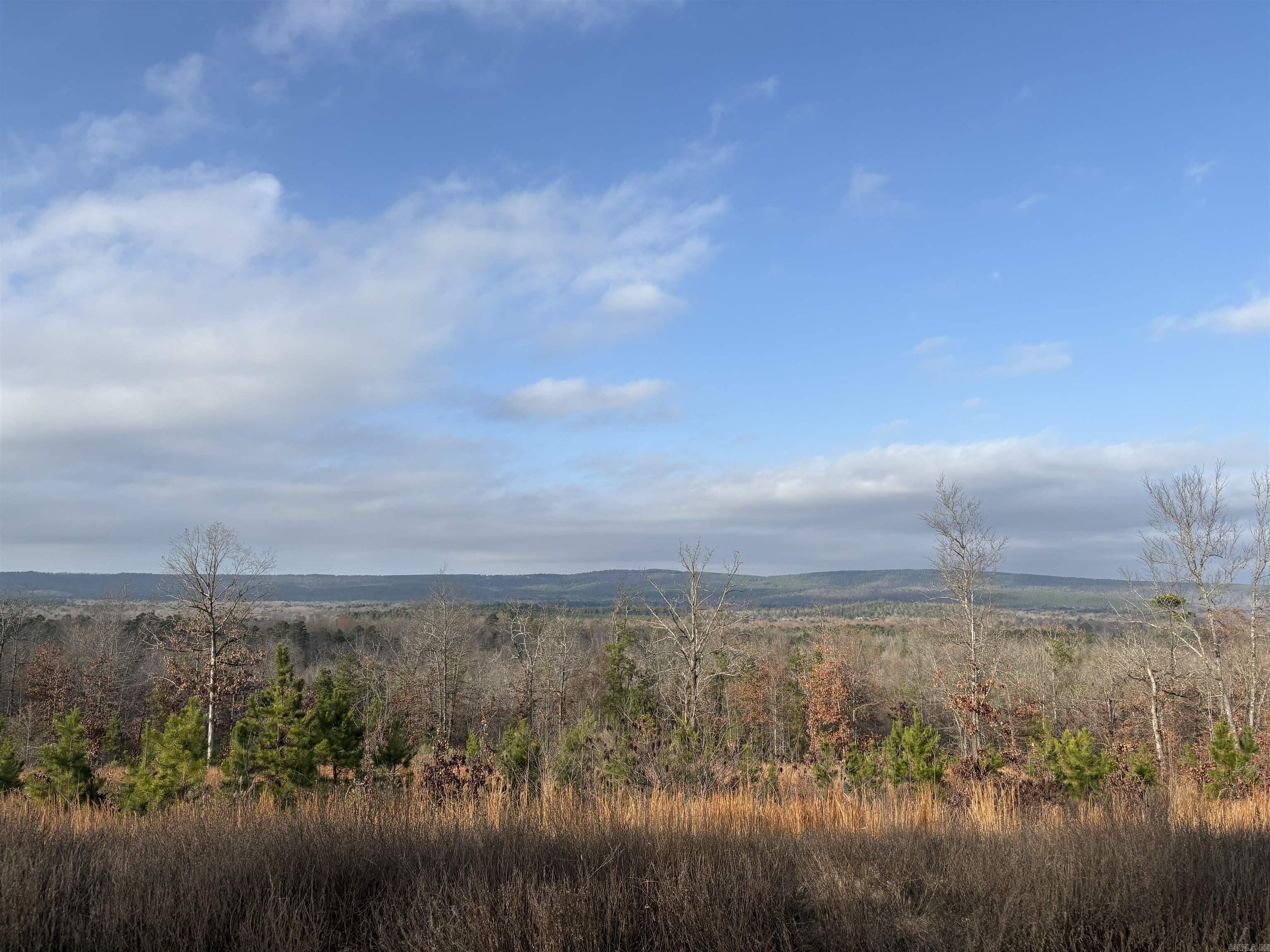 This track of land is overlooking the Northern mountain range and a natural valley. This lot is located in the gated Waterview Estates neighborhood with amentites such as a basketball court, football field, soccer field, pickleball court, tennis court, miles of nature walking trails, community bonfire area, among more amentities. Very unique development offering lots of all sizes and prices with all sorts of different views, many of which overlook Lake Maumelle, all backing up to green space to have the natural air and secure feeling of your own space.