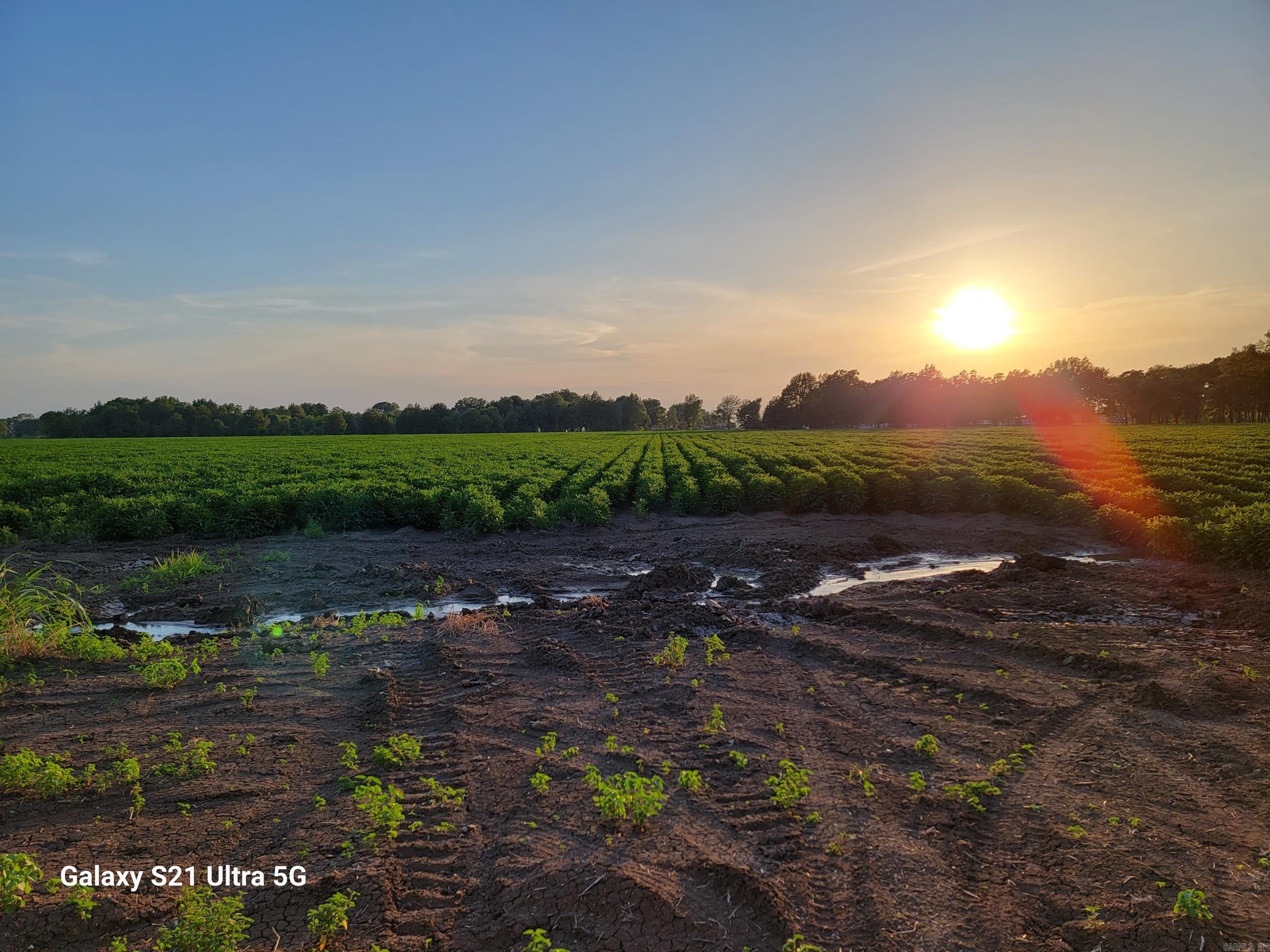 MCGEHEE ANNEXATION - Farm