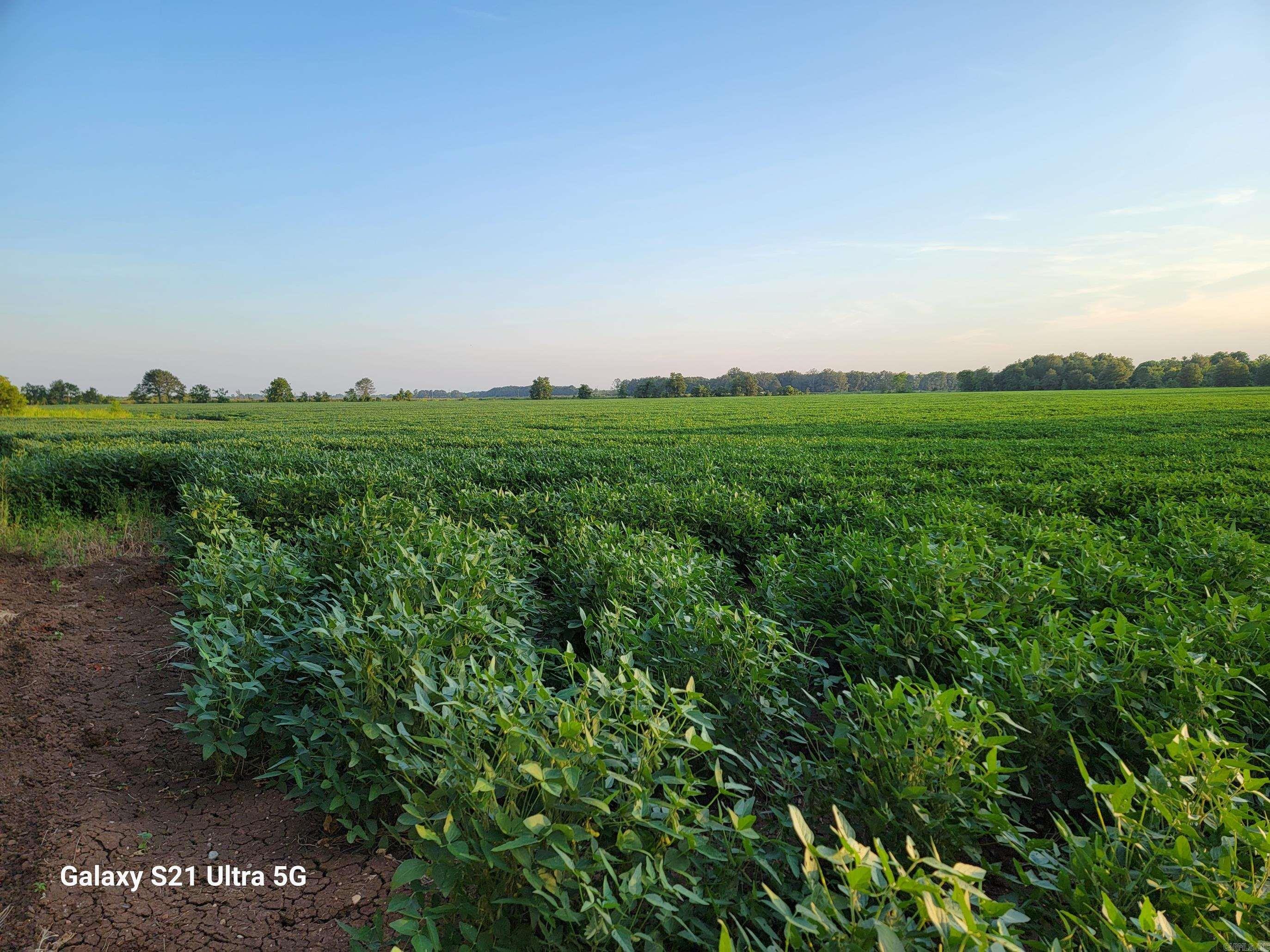 MCGEHEE ANNEXATION - Farm