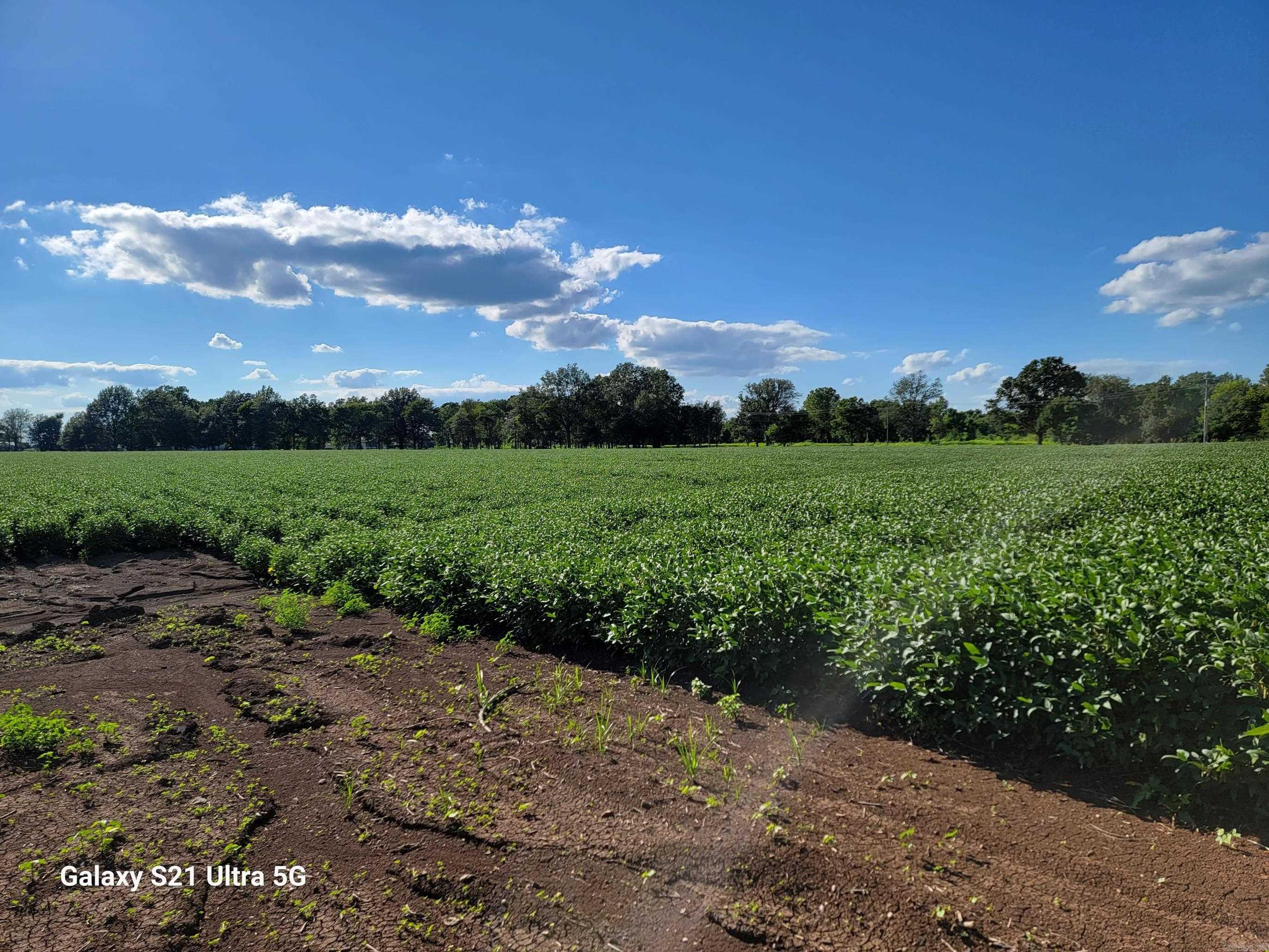 MCGEHEE ANNEXATION - Farm