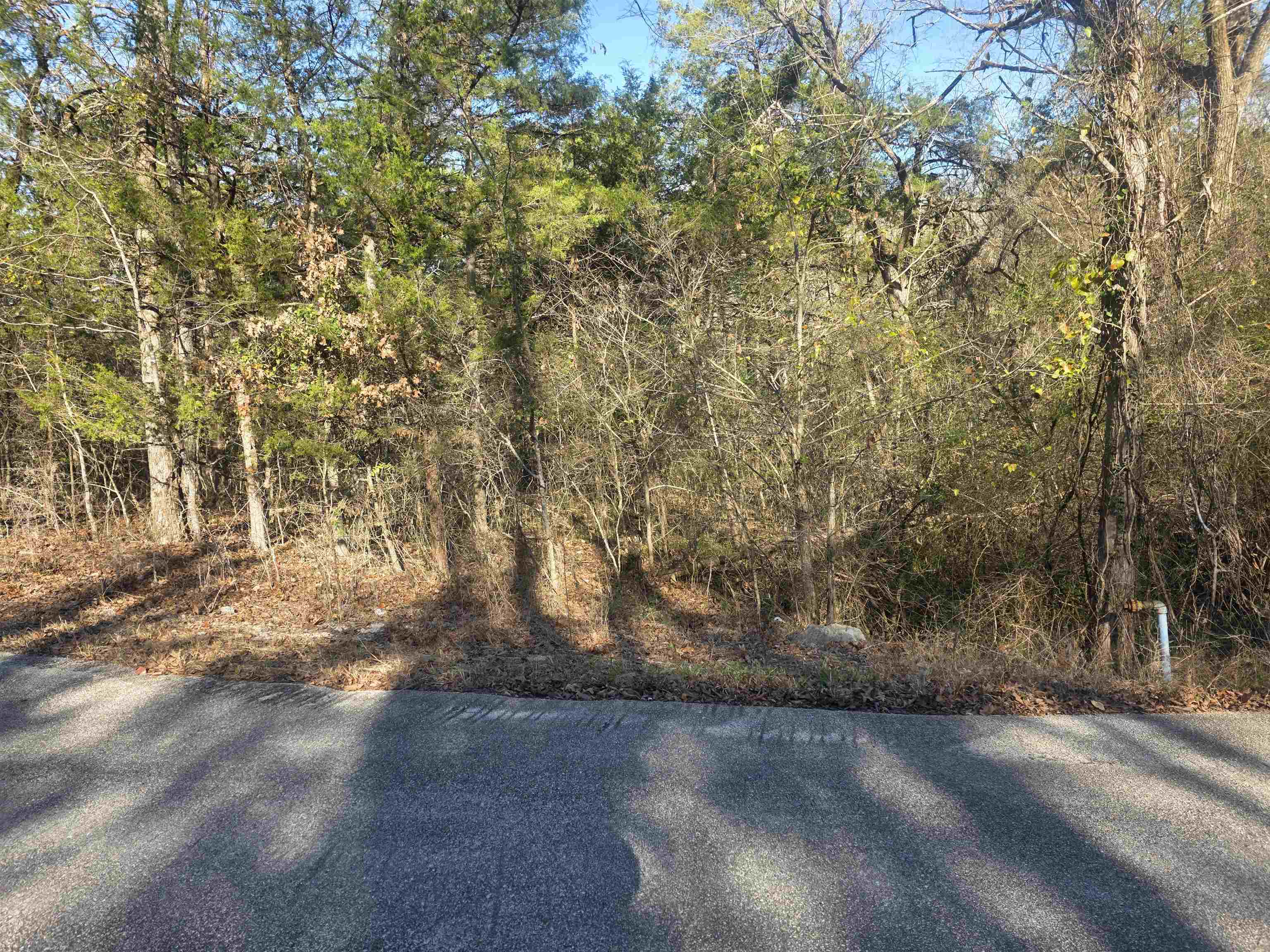 Wonderful and wooded lot in the heart of Cherokee Village. Secluded and away from it all. But close to a main road for quick visits to the town center or exits from the Village for shopping, dining and entertainment. Buy this lot and pick your spot to build your dream home or just a getaway cabin. With ownership of this lot, you will have access to all the amenities of Cherokee Village such as the 7 lakes and Two 18-hole golf courses as well as the Thunderbird Center and swimming pool, mini golf, parks, hiking trails and don't forget about the beautiful Southfork River for fishing, kayaking or just floating down to wet your toes. This is a wonderful lot to purchase and plan for your future home. Call to purchase this one today.
