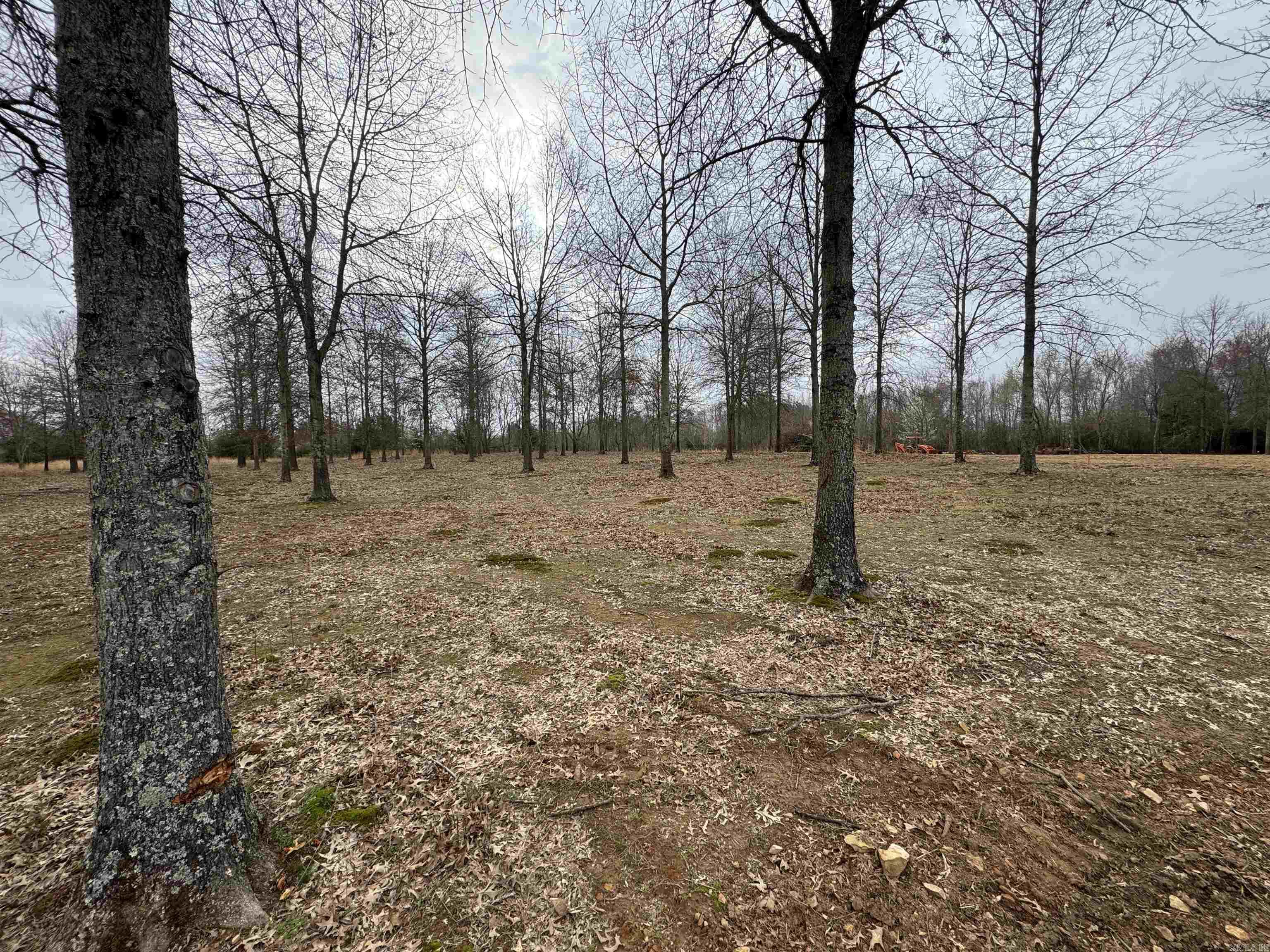 Win Meadow - Land