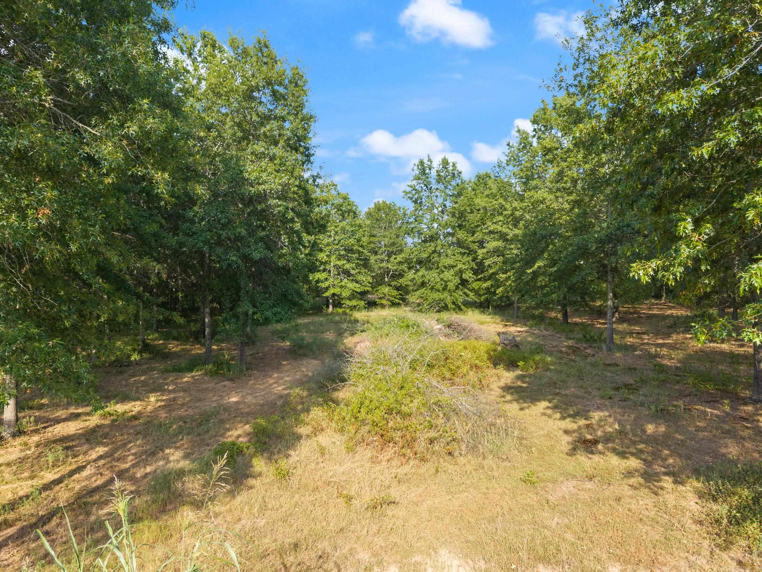 Win Meadow - Land