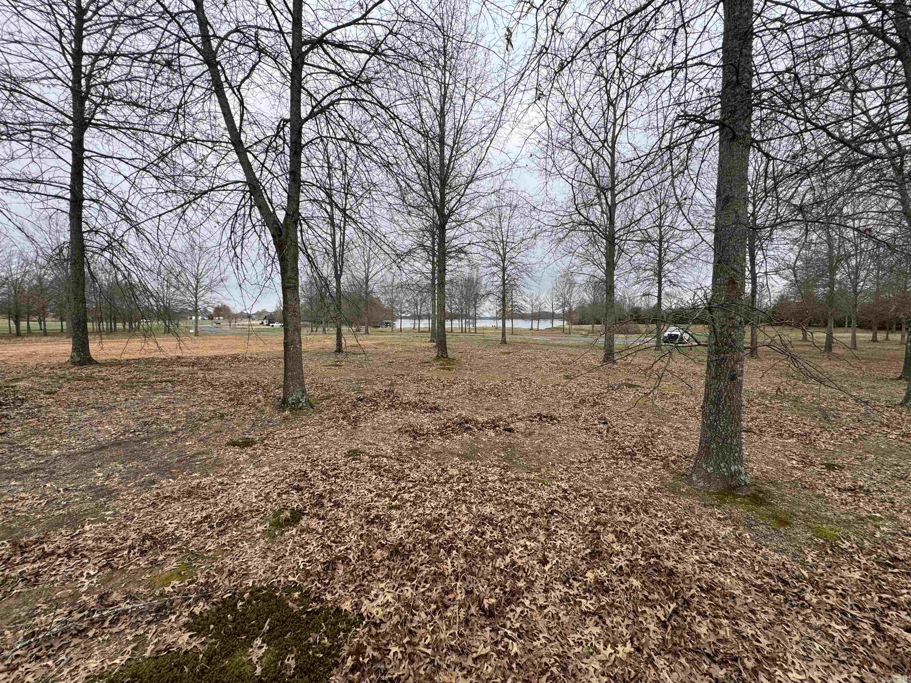 Win Meadow - Land