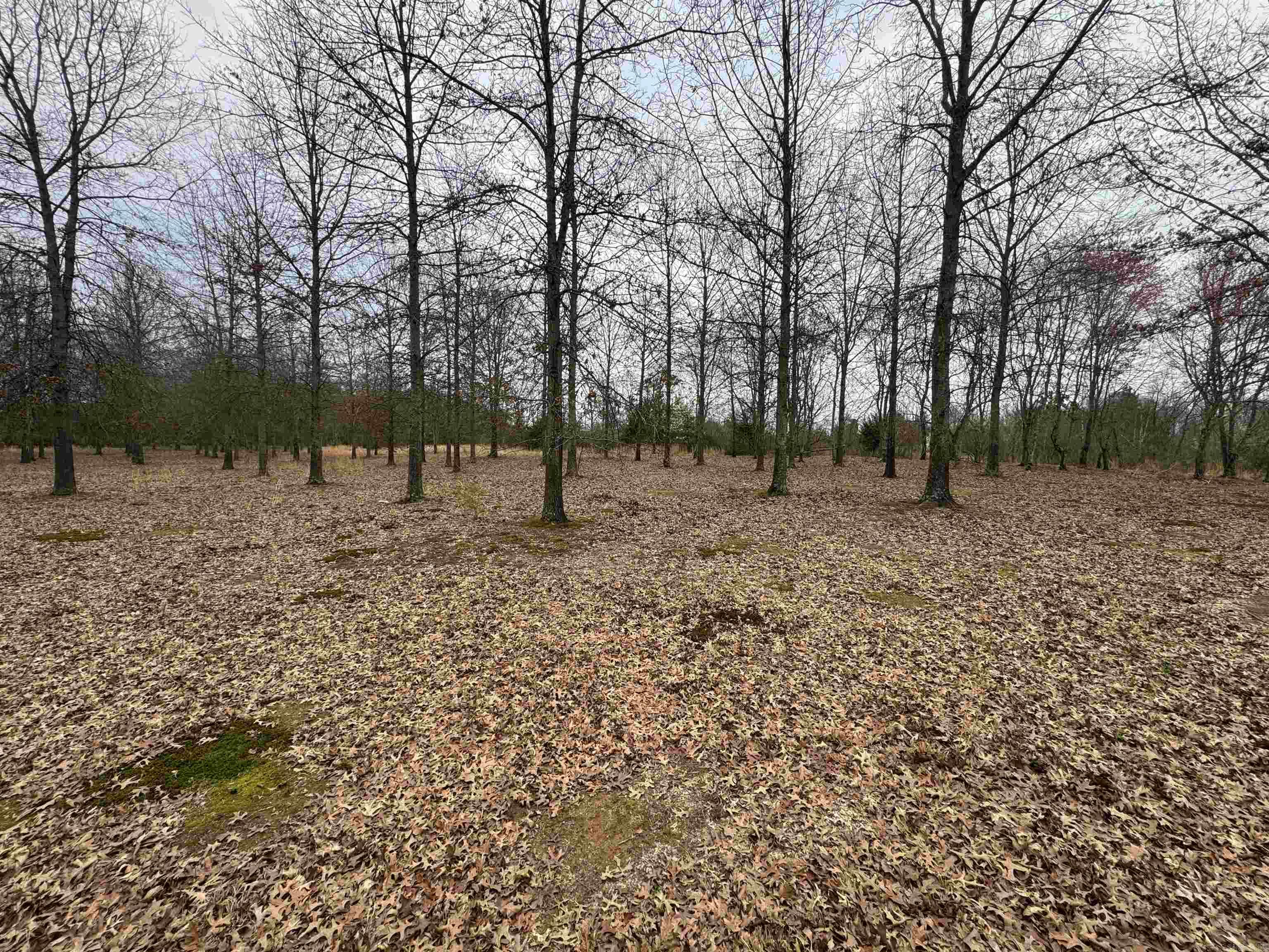 Win Meadow - Land