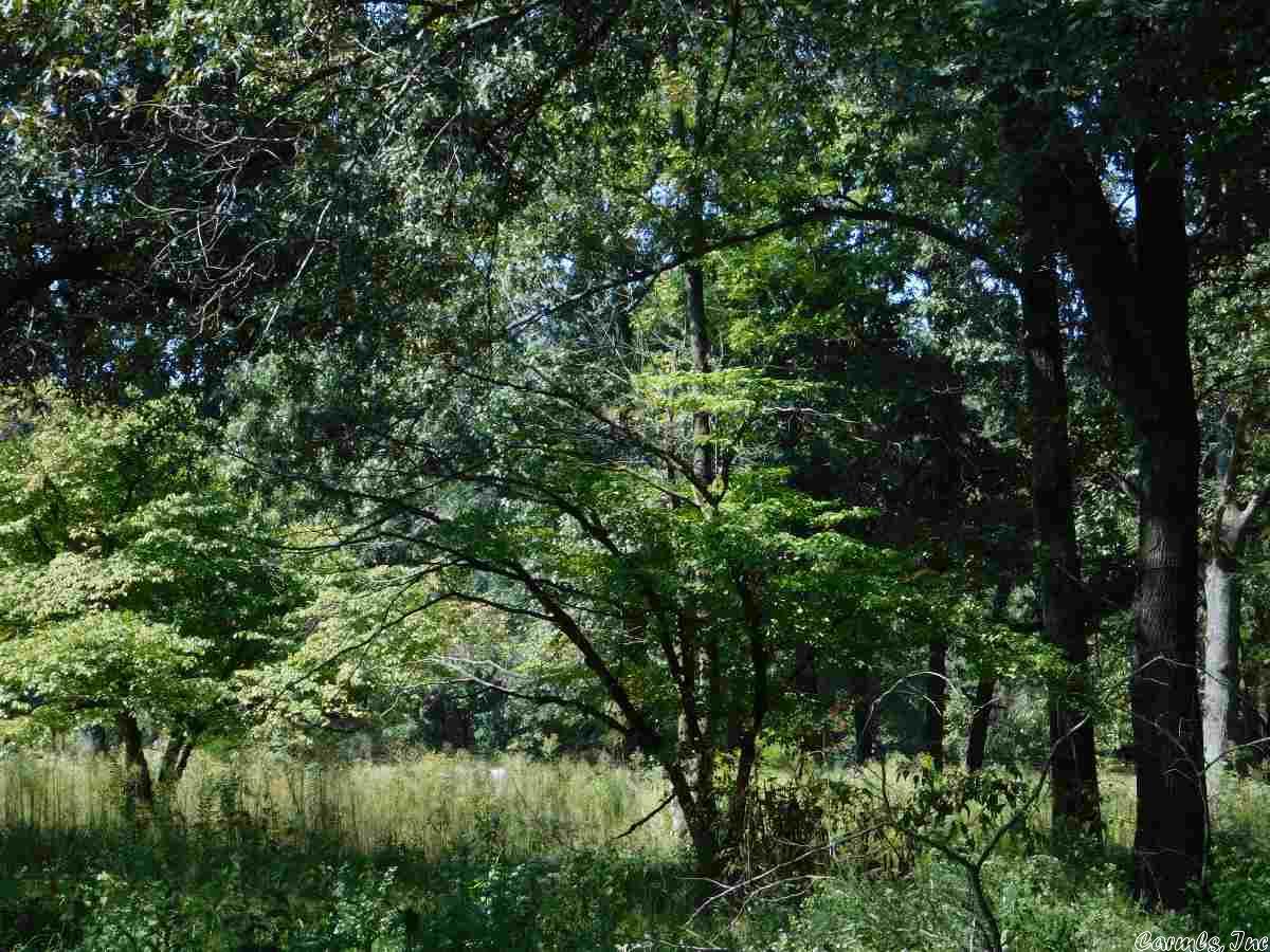 Investor's Delight: Older house (not habitable at this time) needs lots of work and clean-up. 2014 permit for septic system, rural water, well and work shop.
