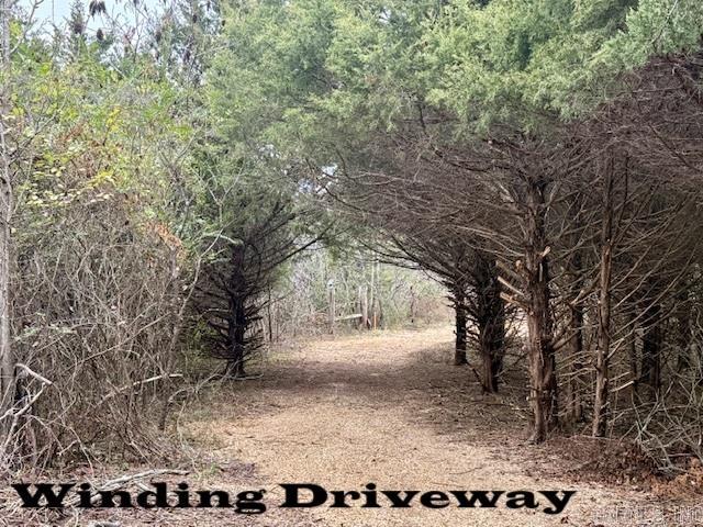 Are you looking for a beautiful and secluded property to build your dream home? How about a hunter’s paradise, perfect for a cabin or deer blinds? Then look no further! This 10.96 acre property is divided into two rectangular 5.48 acre parcels located at the end of the road. The land is wooded and full of wildlife, offering great privacy and excellent hunting. The owners have already done the hard work cutting in a rustic driveway that winds to a clearing so you can start building your dream home sooner. No restrictions. Mobile homes welcome. Electric available at the road. Storage tent, trampoline, and trail cams do not convey.