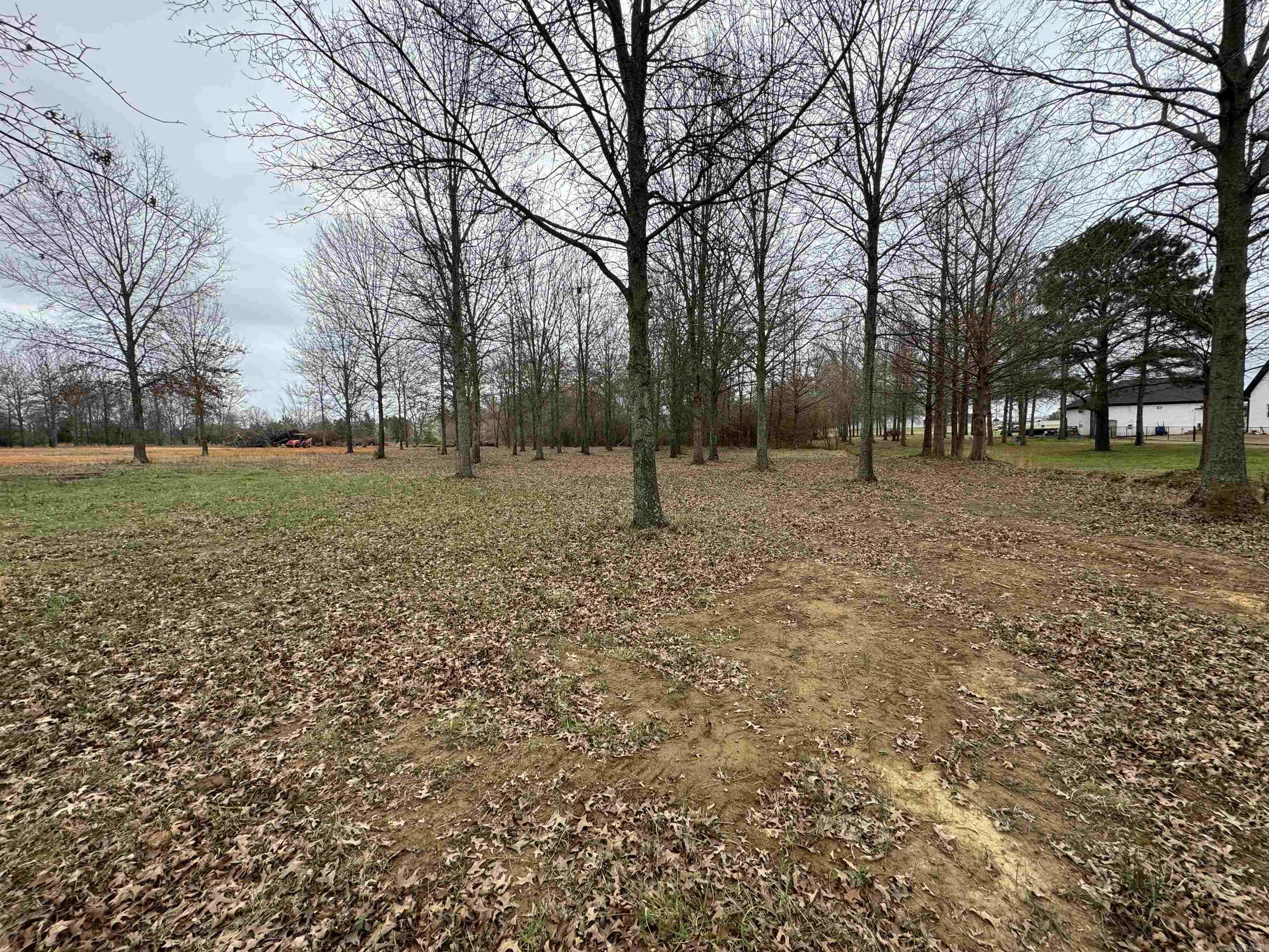 Win Meadow - Land