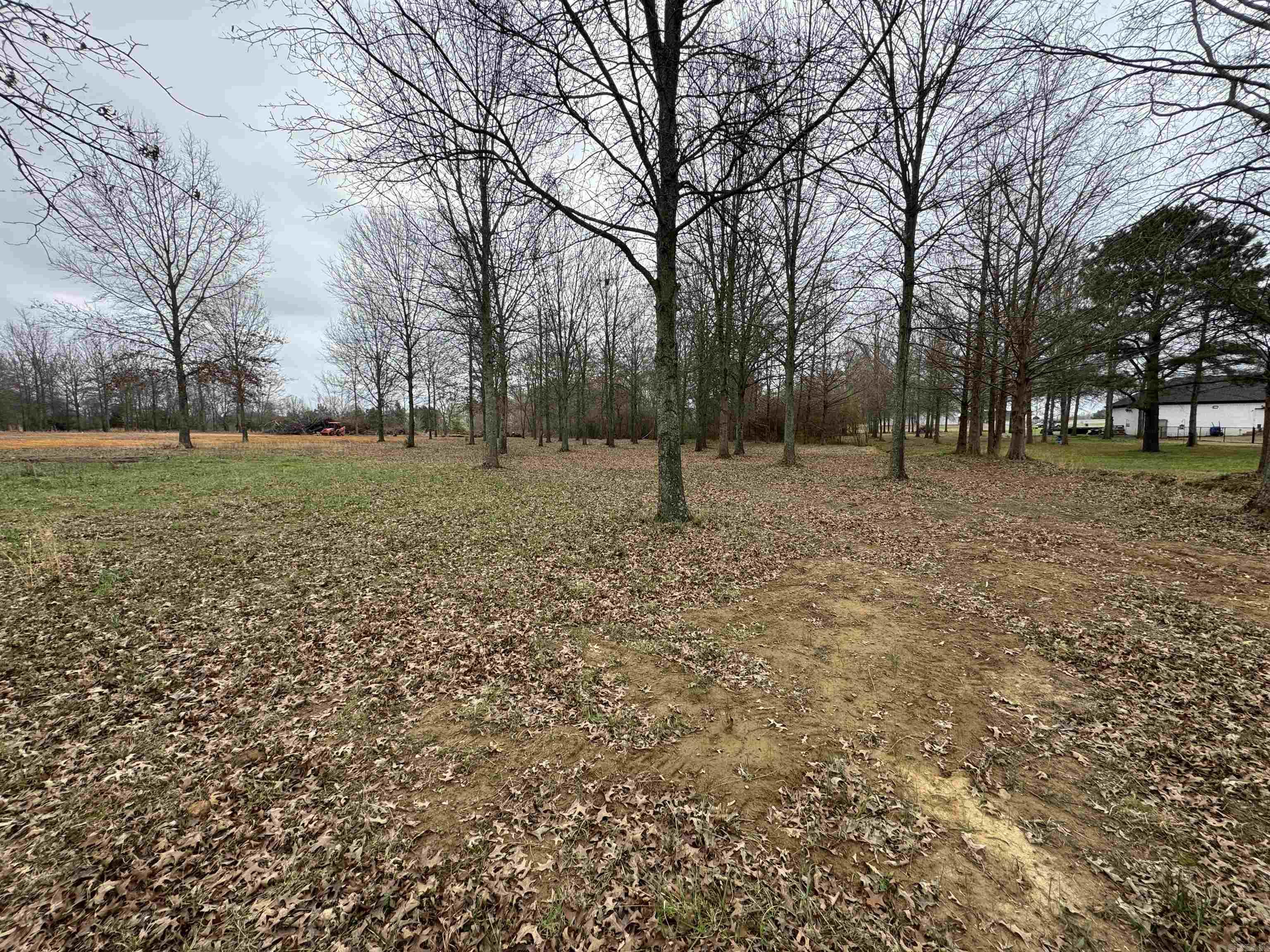 Win Meadow - Land