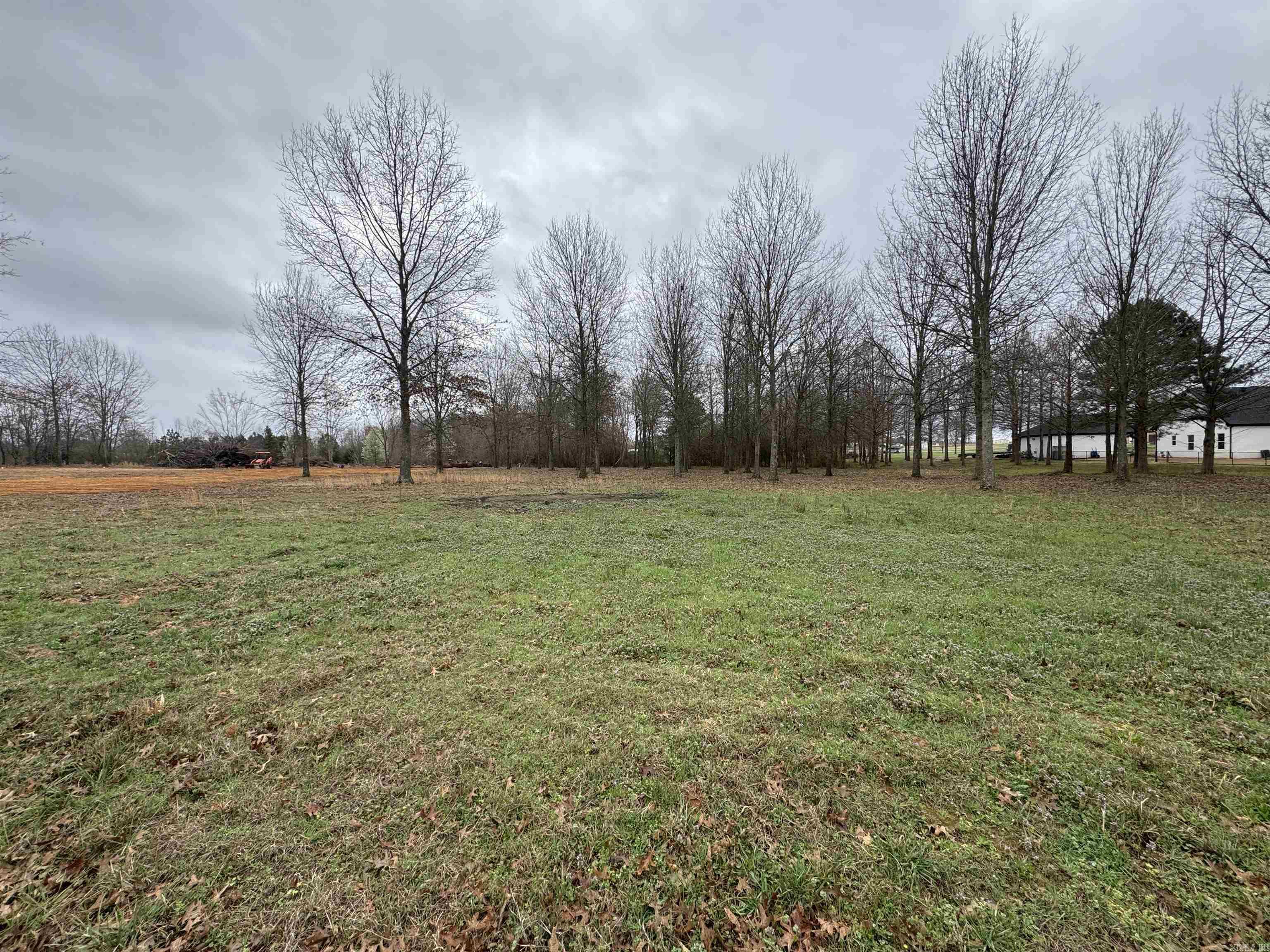 Win Meadow - Land
