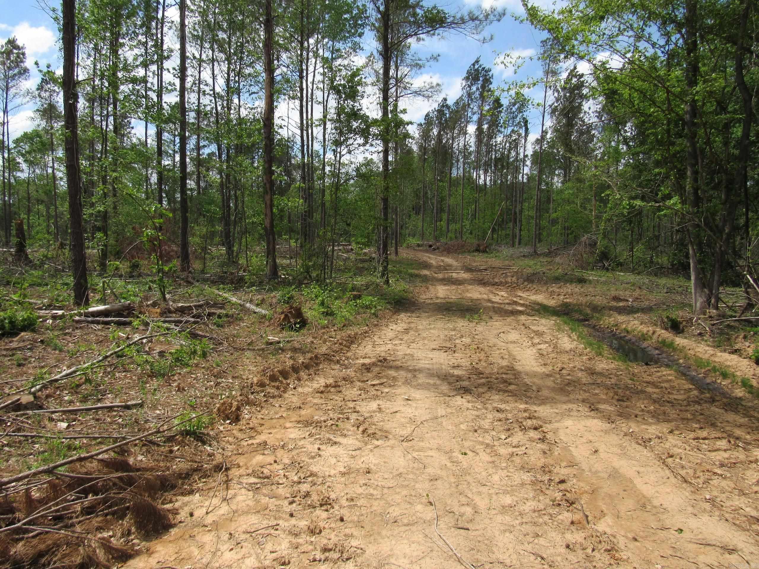 This exceptional 80± acre tract near Hamburg in Ashley County offers a strong blend of hunting, seclusion, and long-term investment potential. Located in the sought-after Chemin-A-Haut Creek corridor, it provides ideal habitat and a peaceful setting for a private retreat.  The property has been professionally thinned, creating a balanced mix of cover and open understory that enhances wildlife movement and visibility. This supports healthy populations of deer, turkey, and hogs, making it a turnkey hunting property.  Remaining timber offers future investment potential, with management already in place for immediate use and long-term value. The tract features deeded access from County Road 29, providing convenient entry while maintaining privacy.  Ideal for a hunting property, recreational getaway, or land investment, this manageable tract offers strong usability and value. Additional adjoining acreage is available.  Tract 6 Co-listed with Compass South, Inc.
