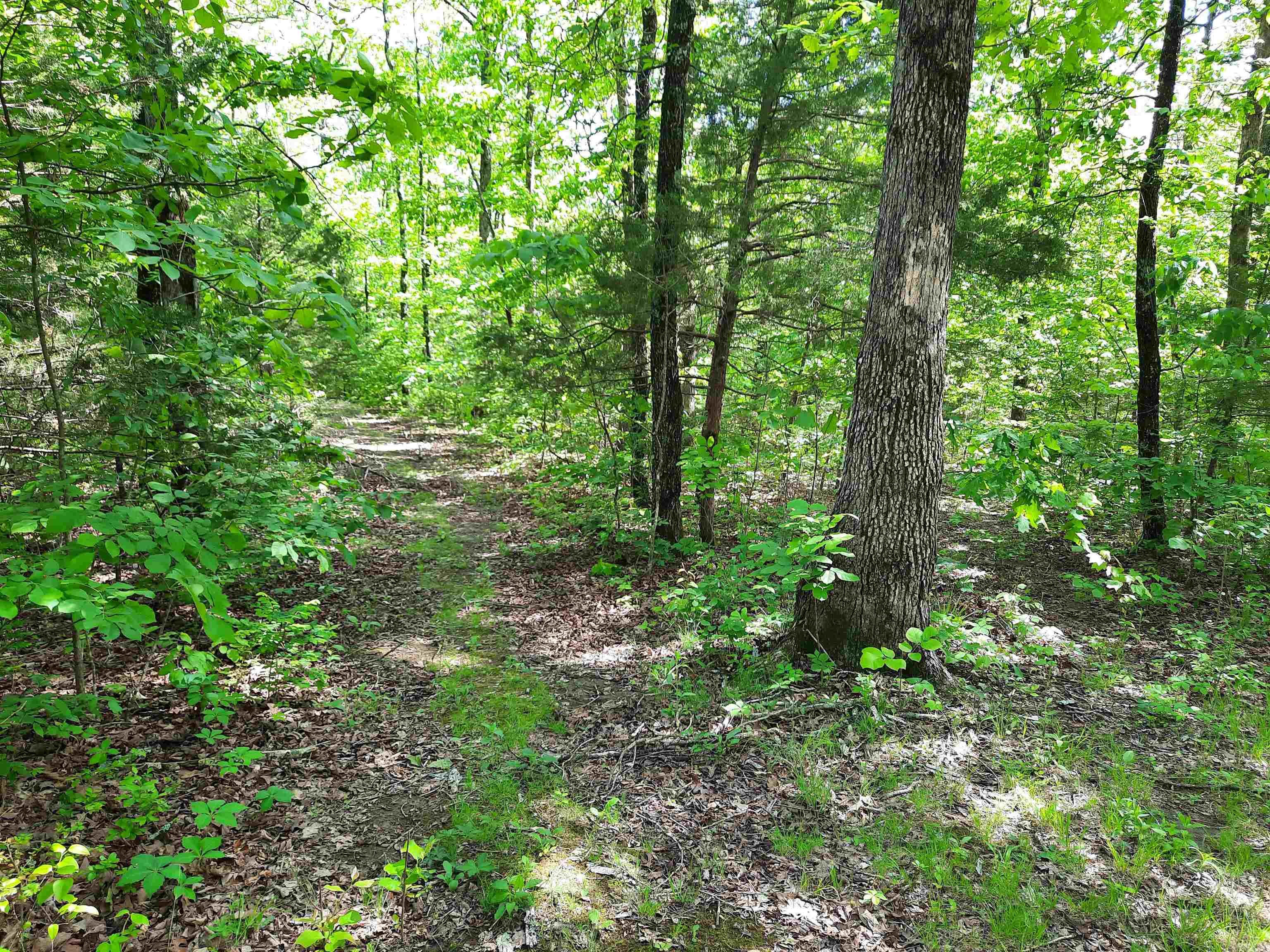 Looking for property large enough for some elbow room, but affordable, here it is!  6 acres of very pretty land, no restrictions, lays good, all wooded. Property has no legal deeded easement.