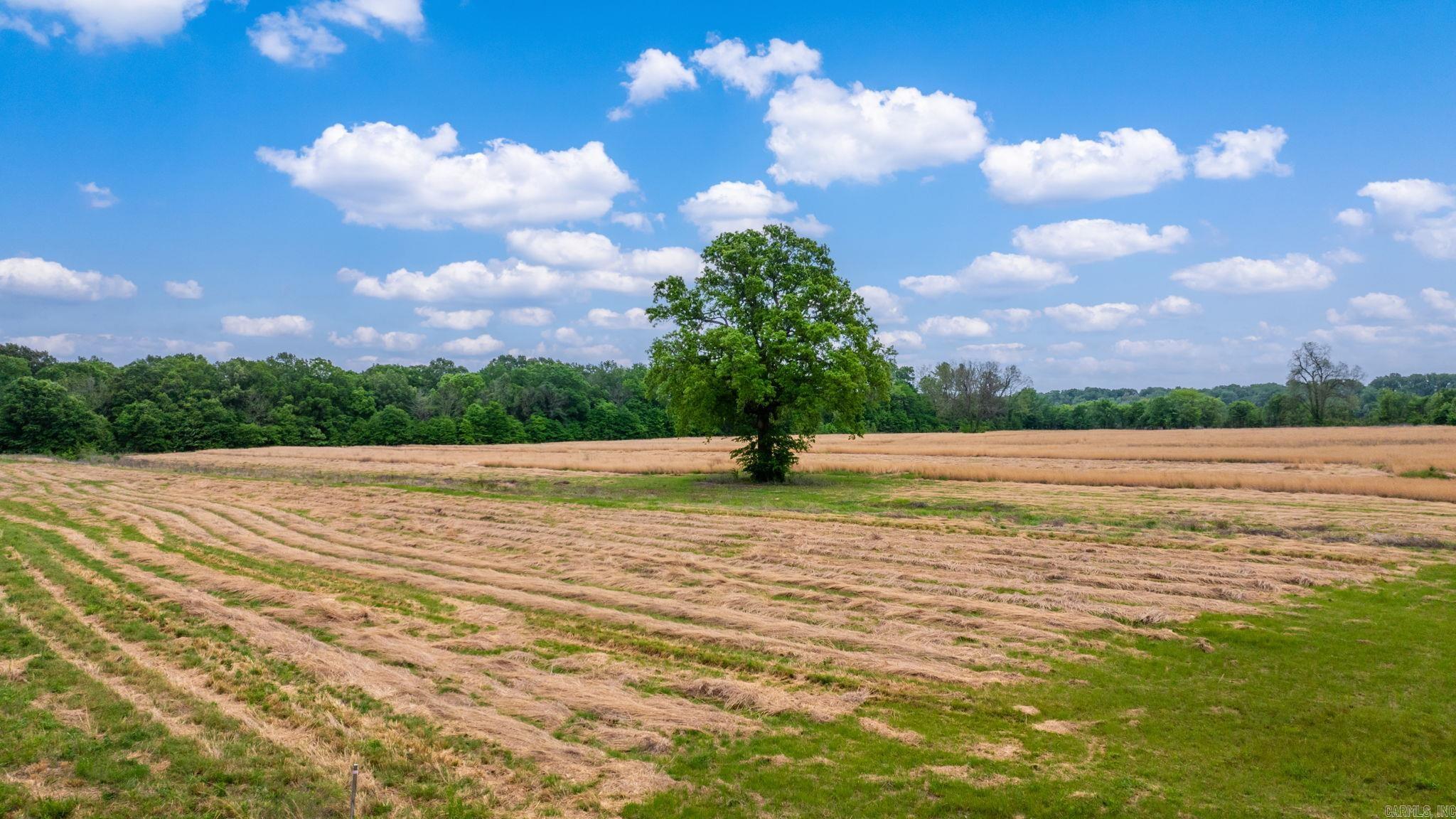 Beautiful property! Approximately 10 acres on the Arkansas River off Easterwood point in Mayflower. Enjoy natural wildlife and beauty of the Property has portions in the flood plane and flood way.
