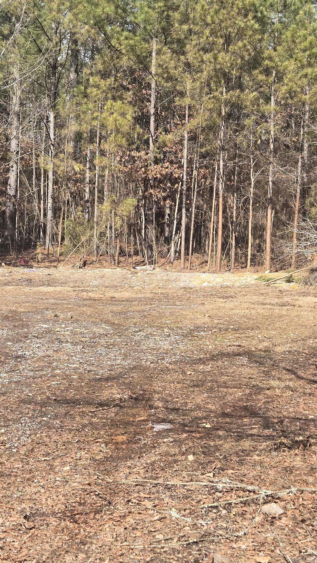 This property has utilities ready for New Home! Level acreage. Mobile homes allowed Road Frontage is not Maintained By county
