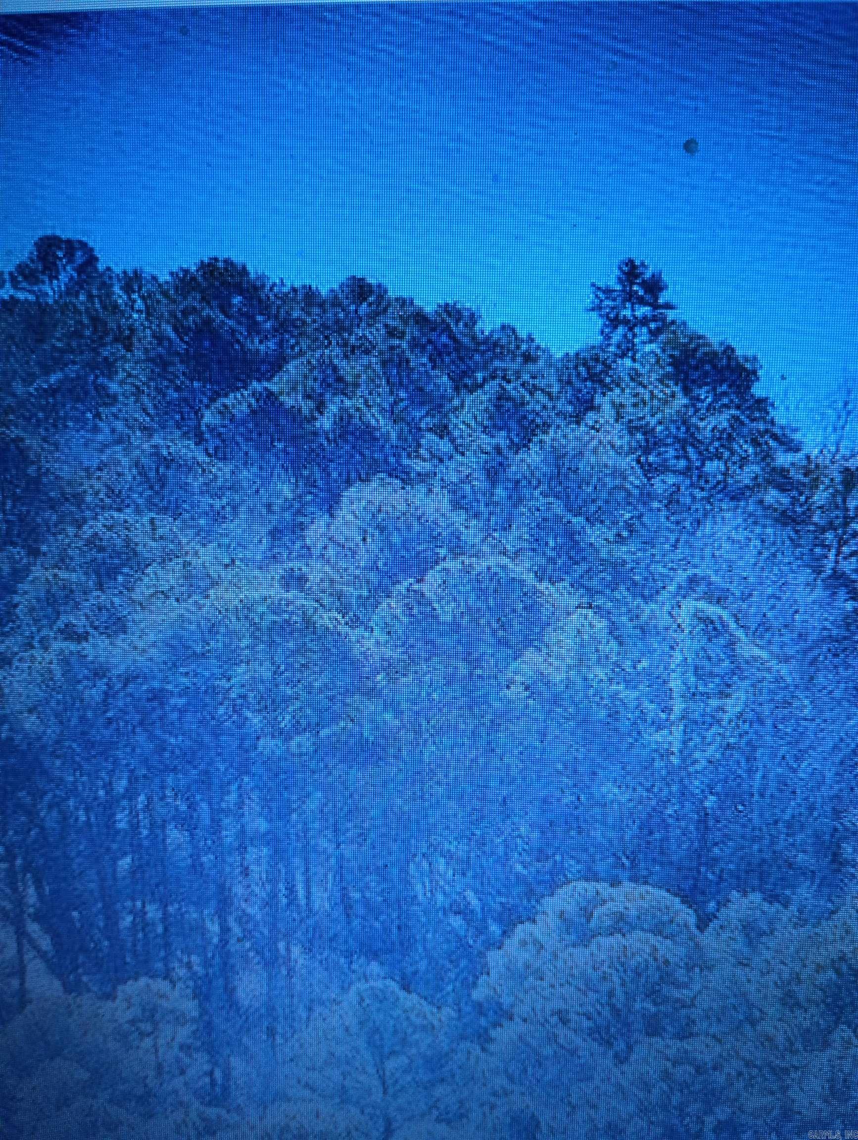LAKEFRONT AND LAKEVIEW LOT IN FAIRFIELD BAY, ARKANSAS. BETWEEN PARKER AND LANGE, ACCROSS FROM JACOB AND MORGAN PACK.