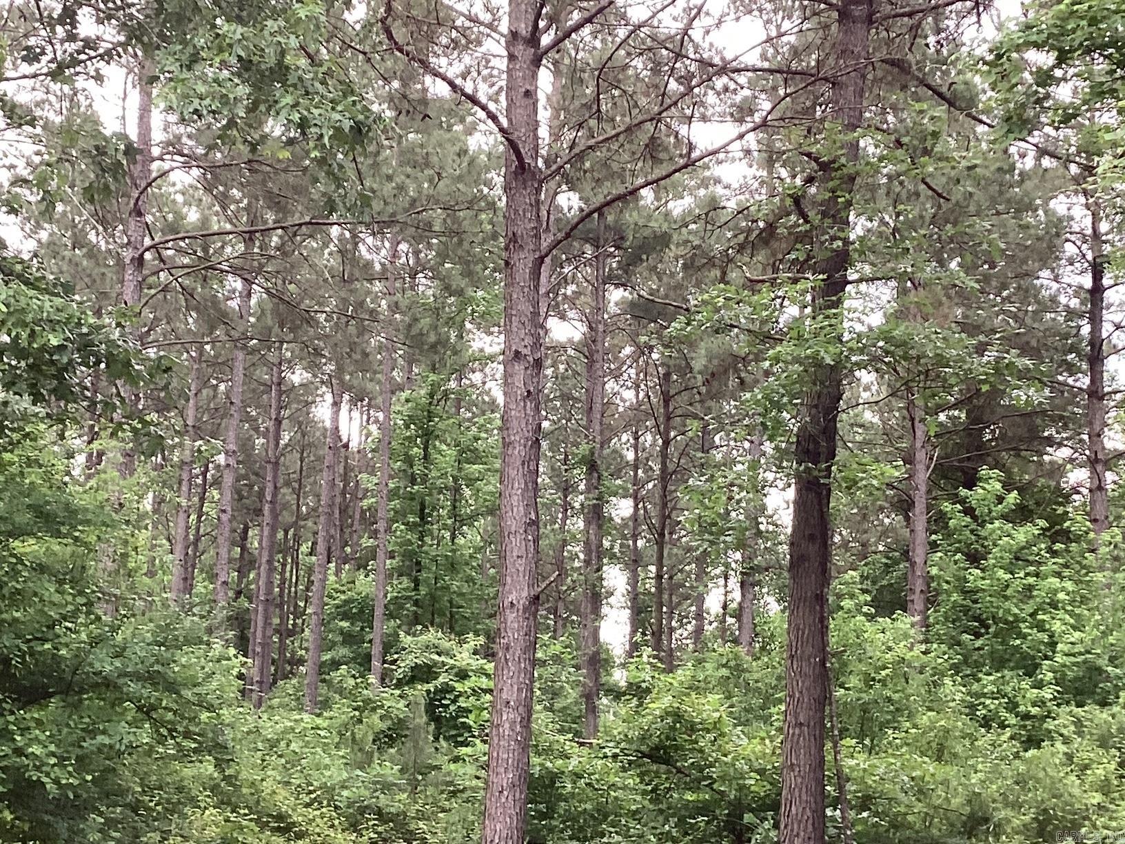 Here it is!!! 30 acres of prime plantation pine, 25-30 years old!! Some hardwood and plenty of deer and small game all on a paved highway. Utilities available at road. Build a home or just walk through the woods and enjoy the peace and quite.   There are 30 more acres available beside this 30 acres. Put the 2 tracts together and build chicken house.