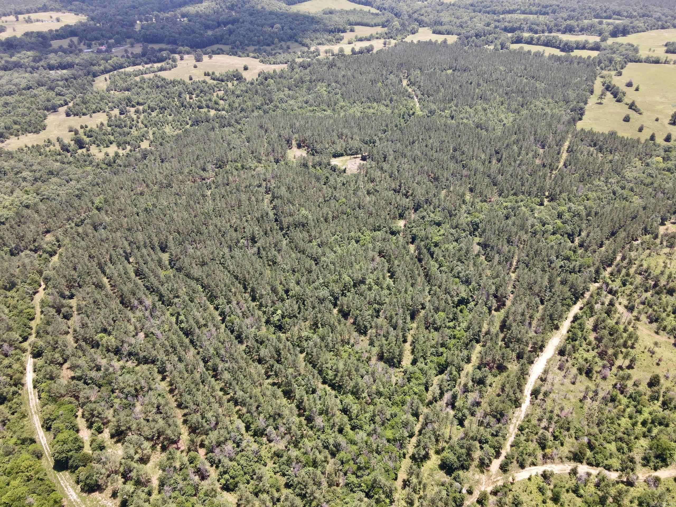 Located near Hot Springs Village, Lonsdale, and the Owensville Cutoff, this versatile property offers timber investment, hunting, homesite potential, and future development opportunities. A gated entrance provides access from a county-maintained road, with electricity available at the road.  The tract features professionally managed loblolly pine that has received its first thinning, offering immediate and long-term value. A current timber inventory and survey are on file. Gently rolling terrain, an internal road system, and established trails provide easy access throughout.  Several box stands are already in place for hunting, and a streamside management zone enhances wildlife habitat, water quality, and natural beauty. The property supports whitetail deer and wild turkey.  Multiple building sites offer options for a private home, hunting lodge, family retreat, or future development. With road frontage, utilities, managed timber, hunting infrastructure, and development potential, this property is well-suited for recreation, investment, or future growth in a desirable Central Arkansas location.