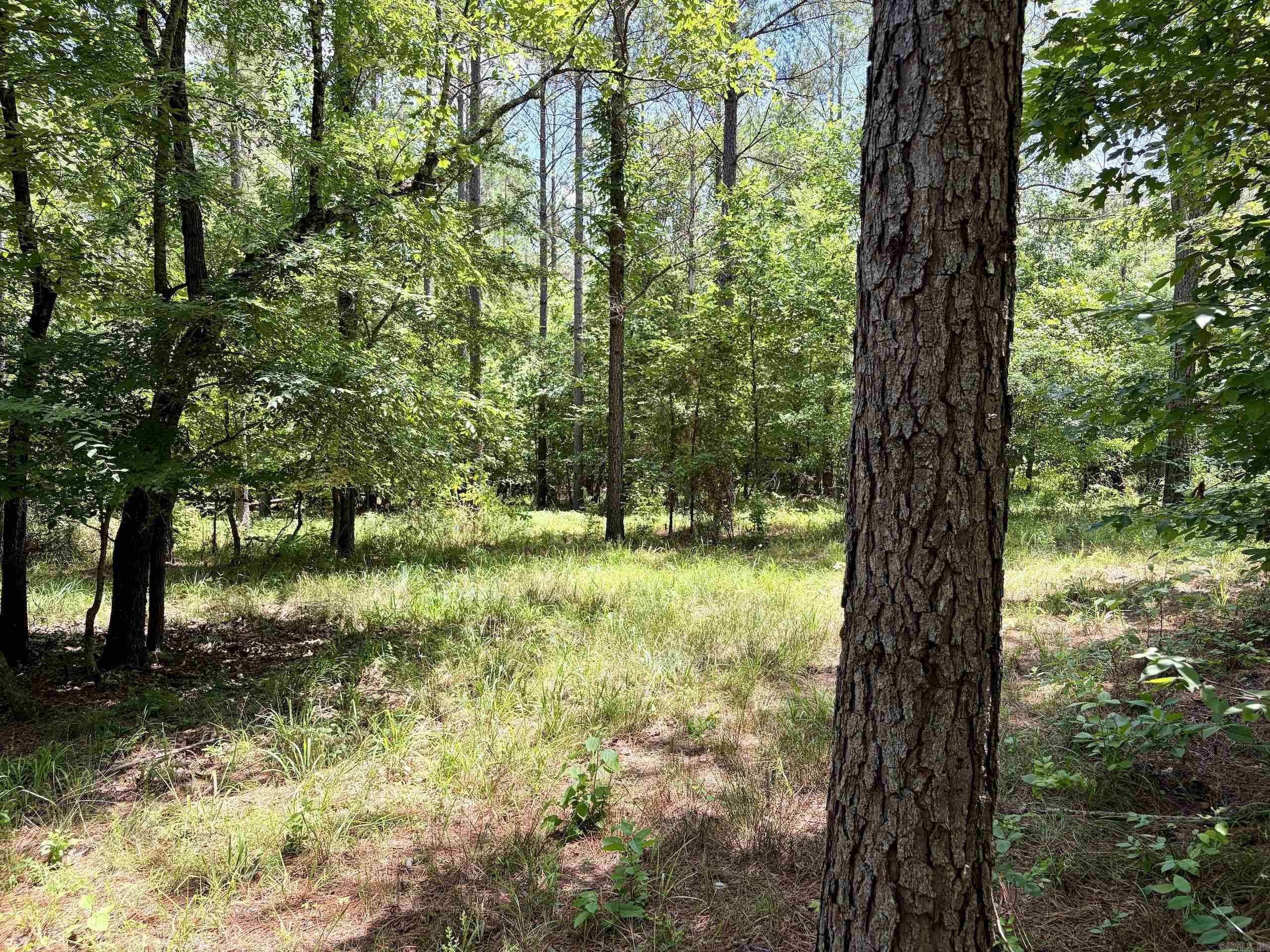 Not in Subdivision - Land