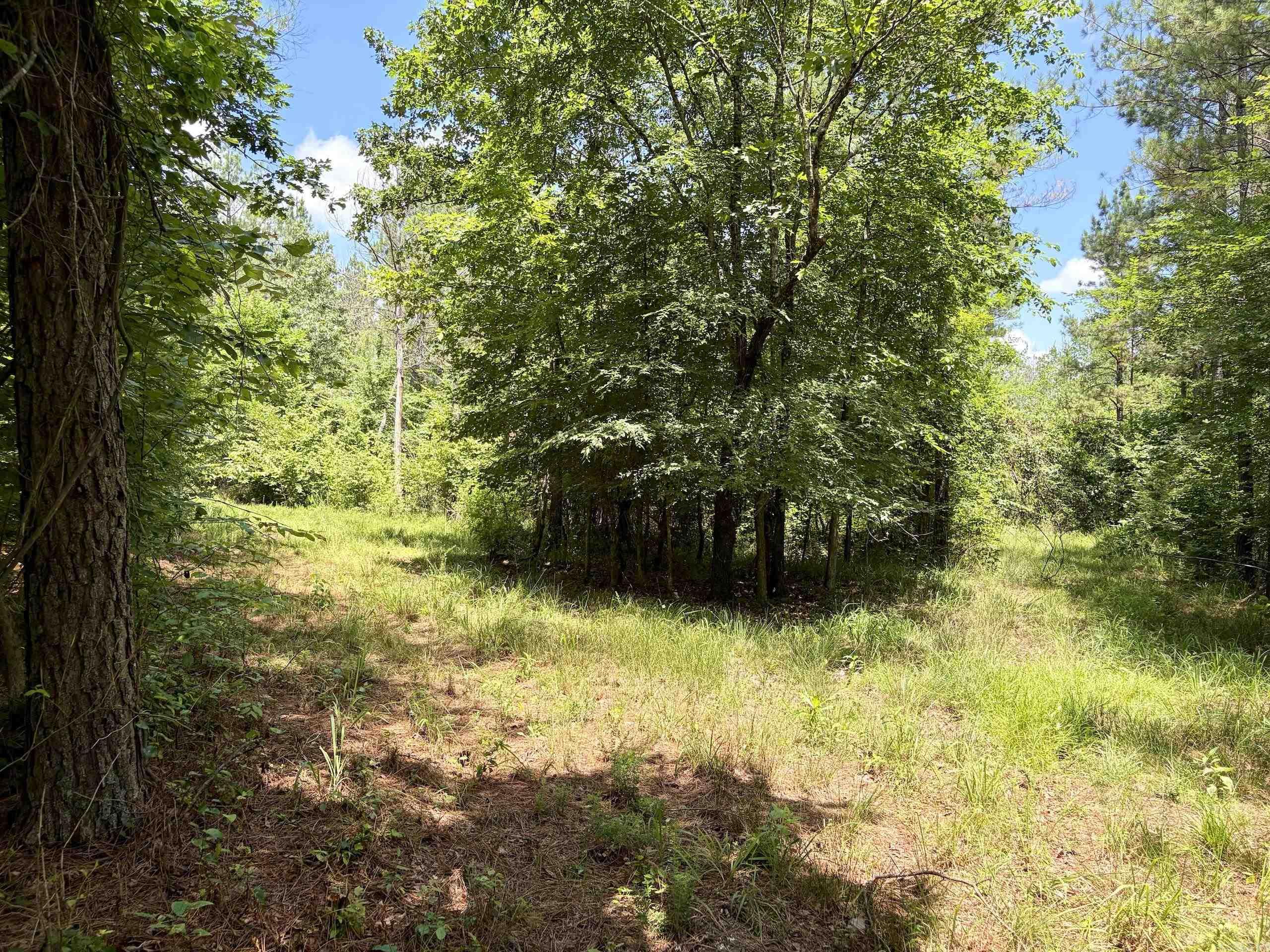 Not in Subdivision - Land