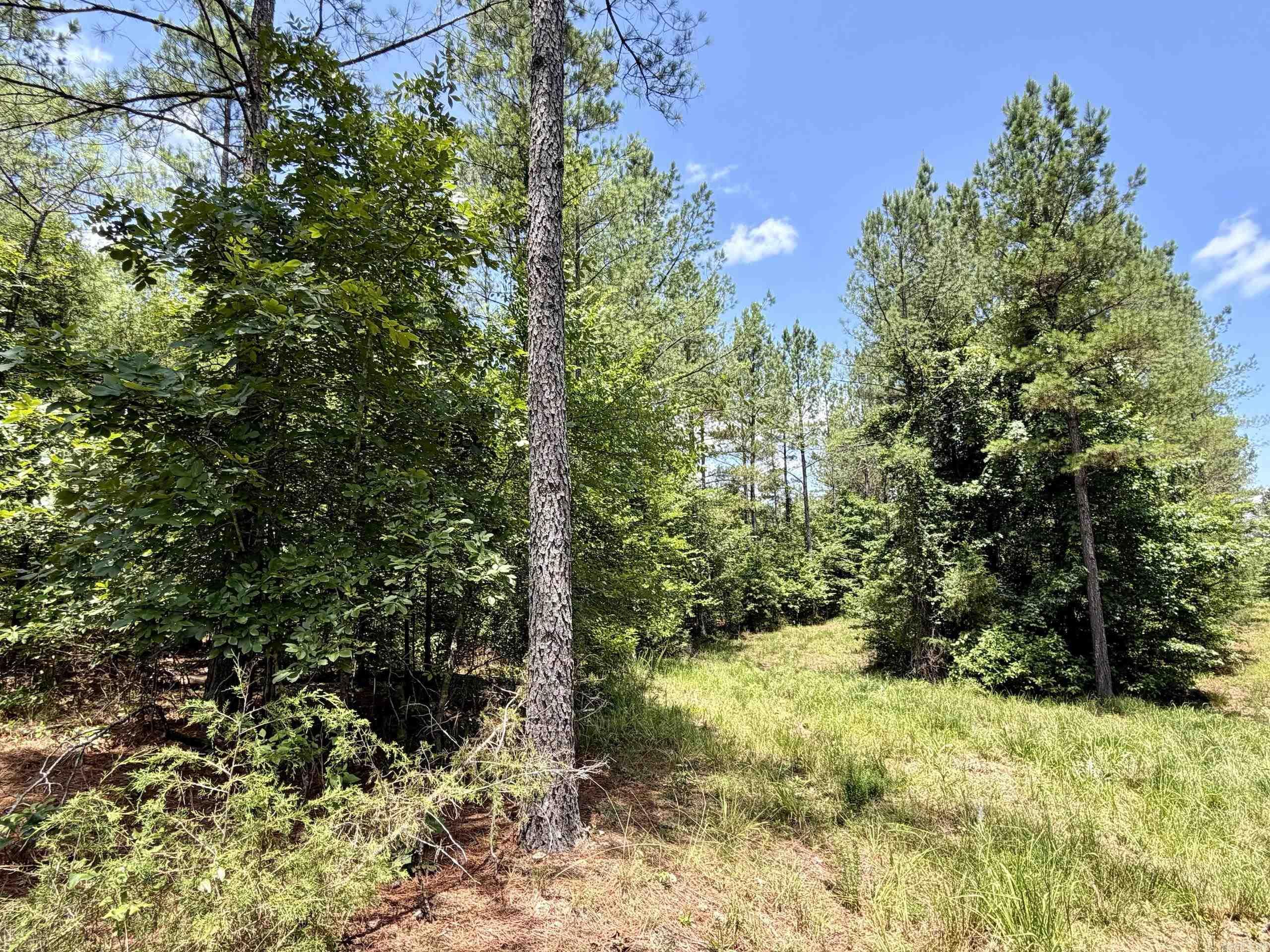 Not in Subdivision - Land