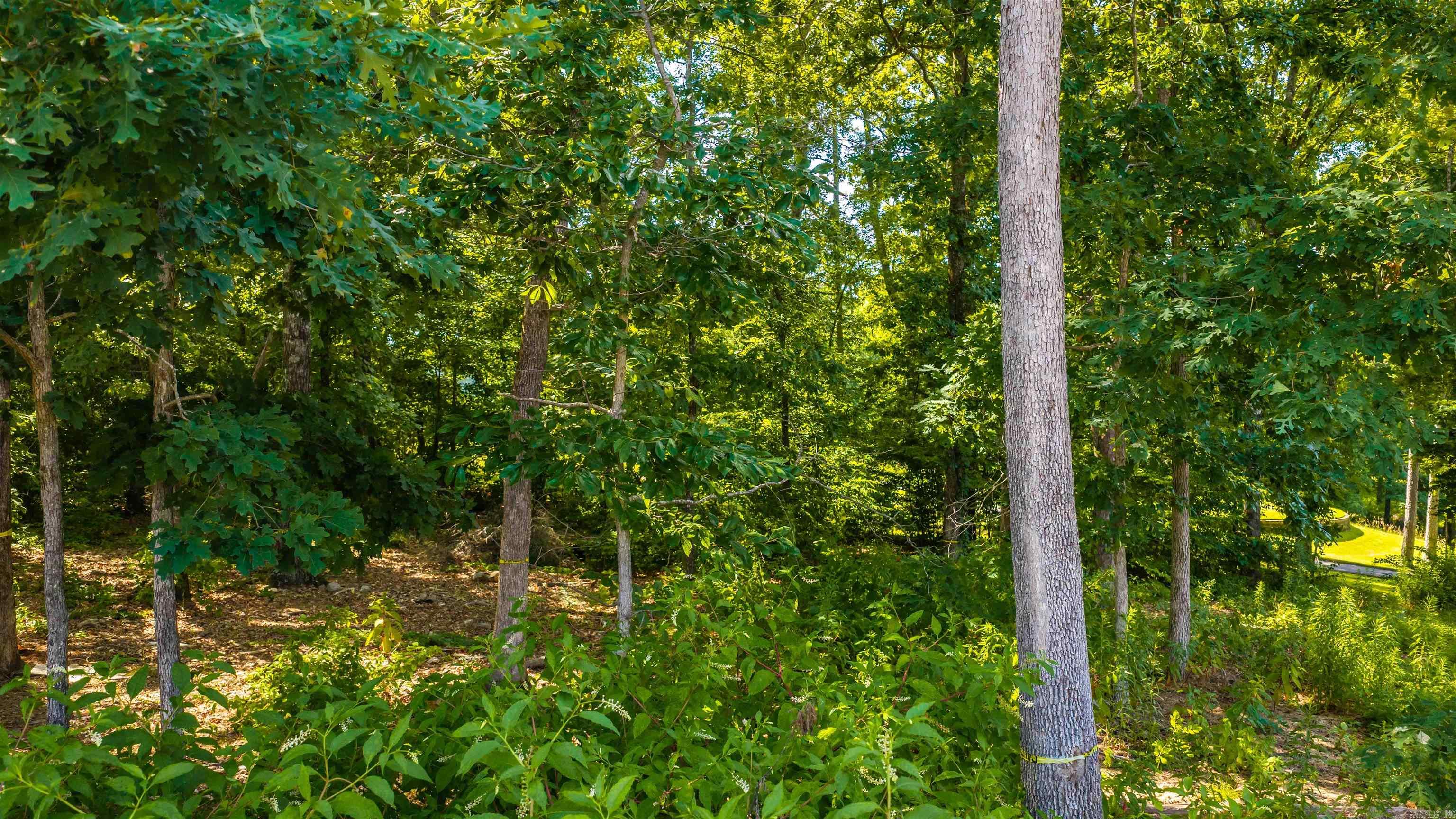 CHENAL VALLEY FOUNDERS ESTATES - Land
