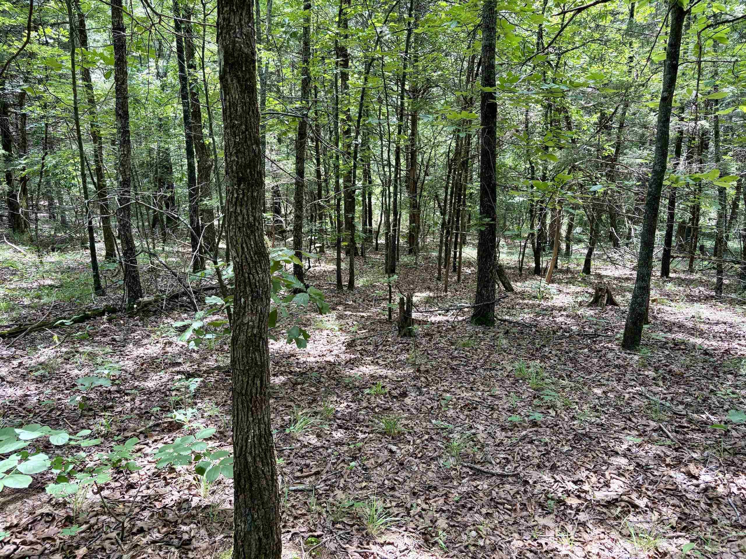 Cranford Acres - Land