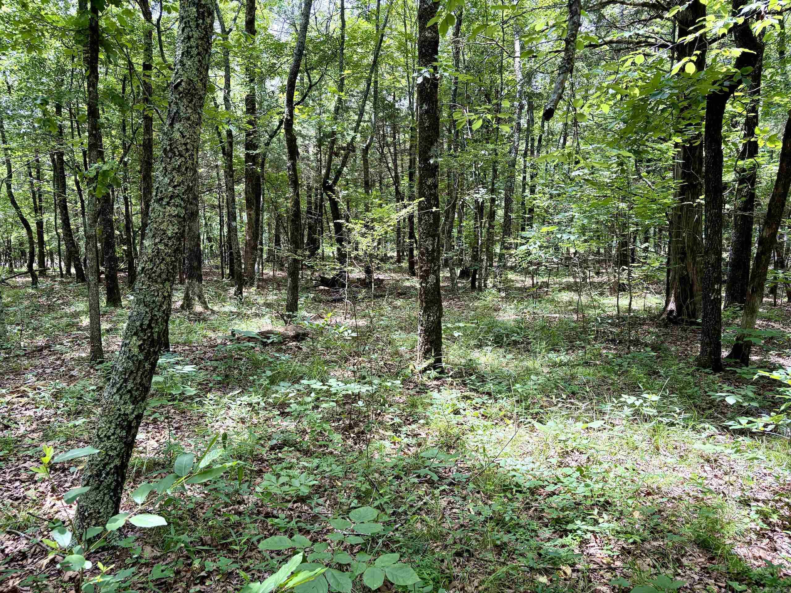Cranford Acres - Land