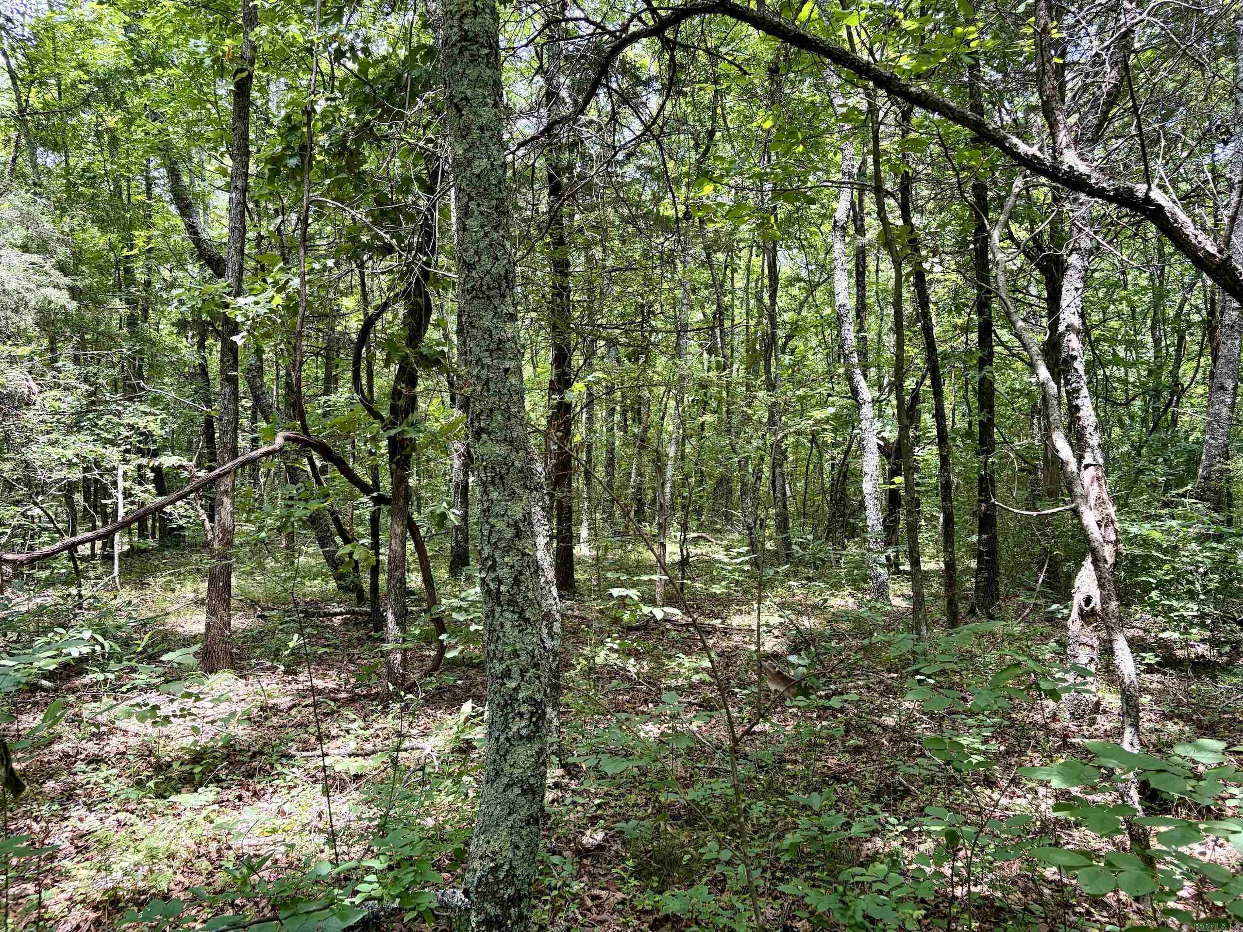 Cranford Acres - Land