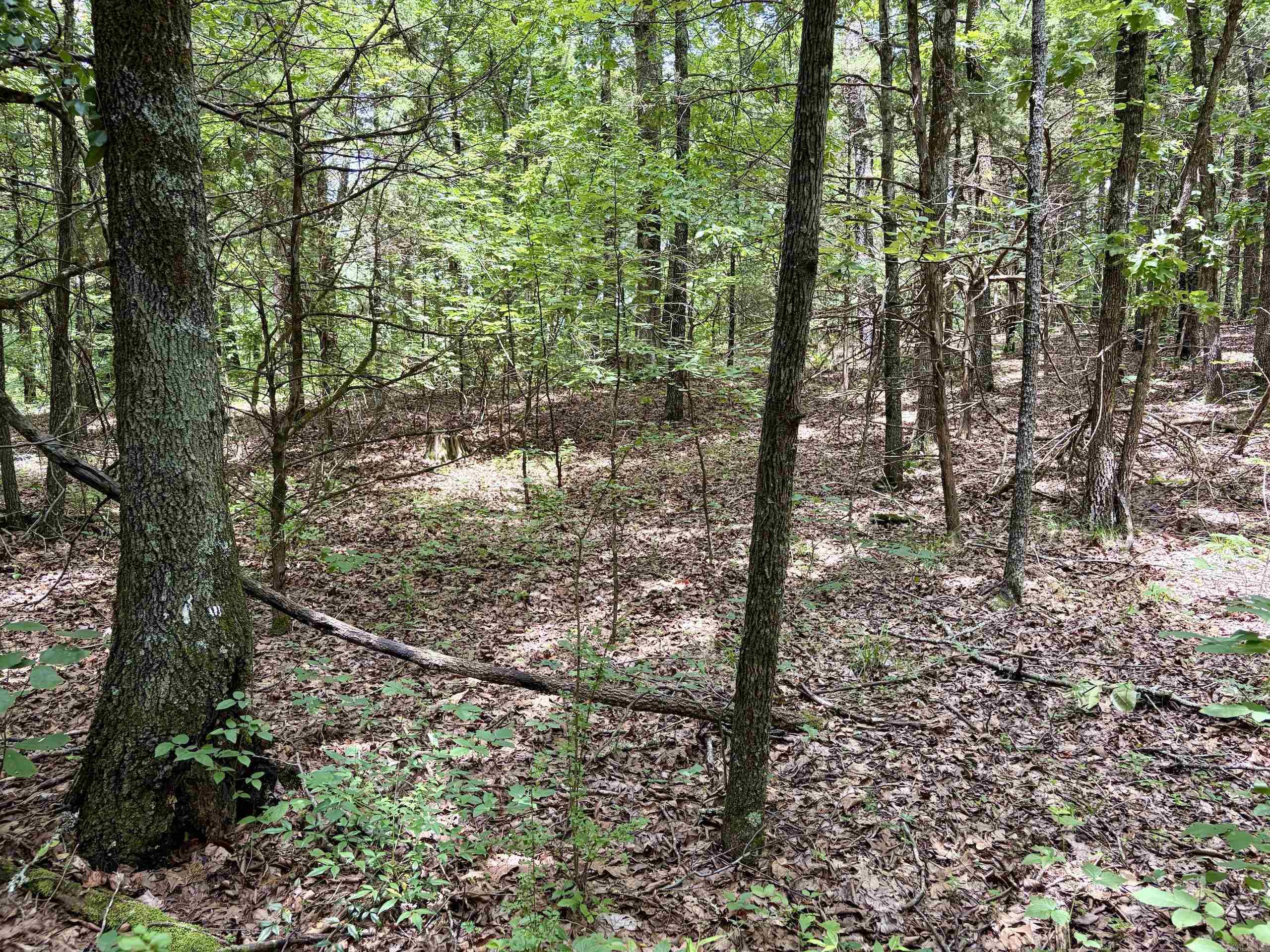 Cranford Acres - Land