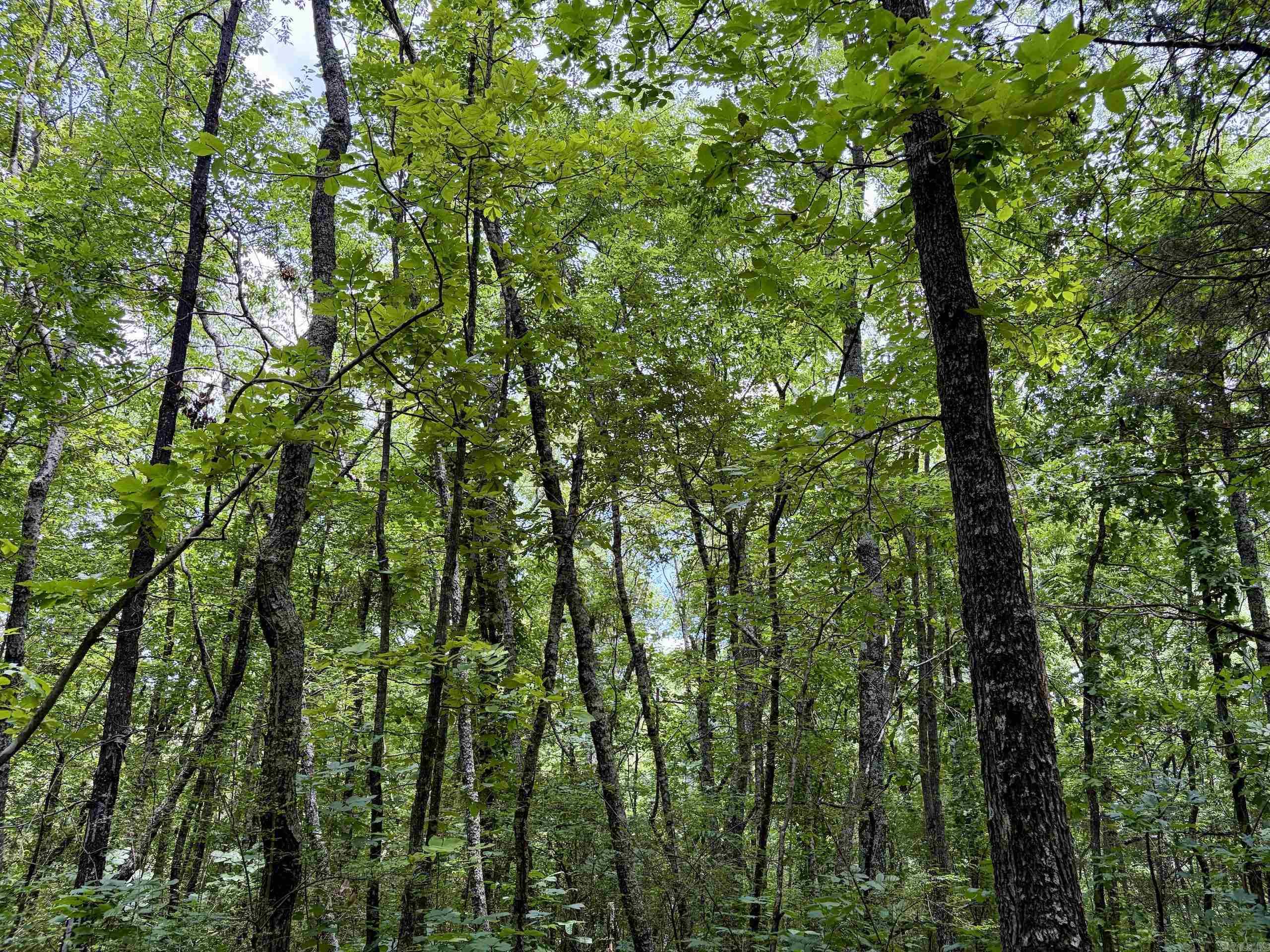 Cranford Acres - Land