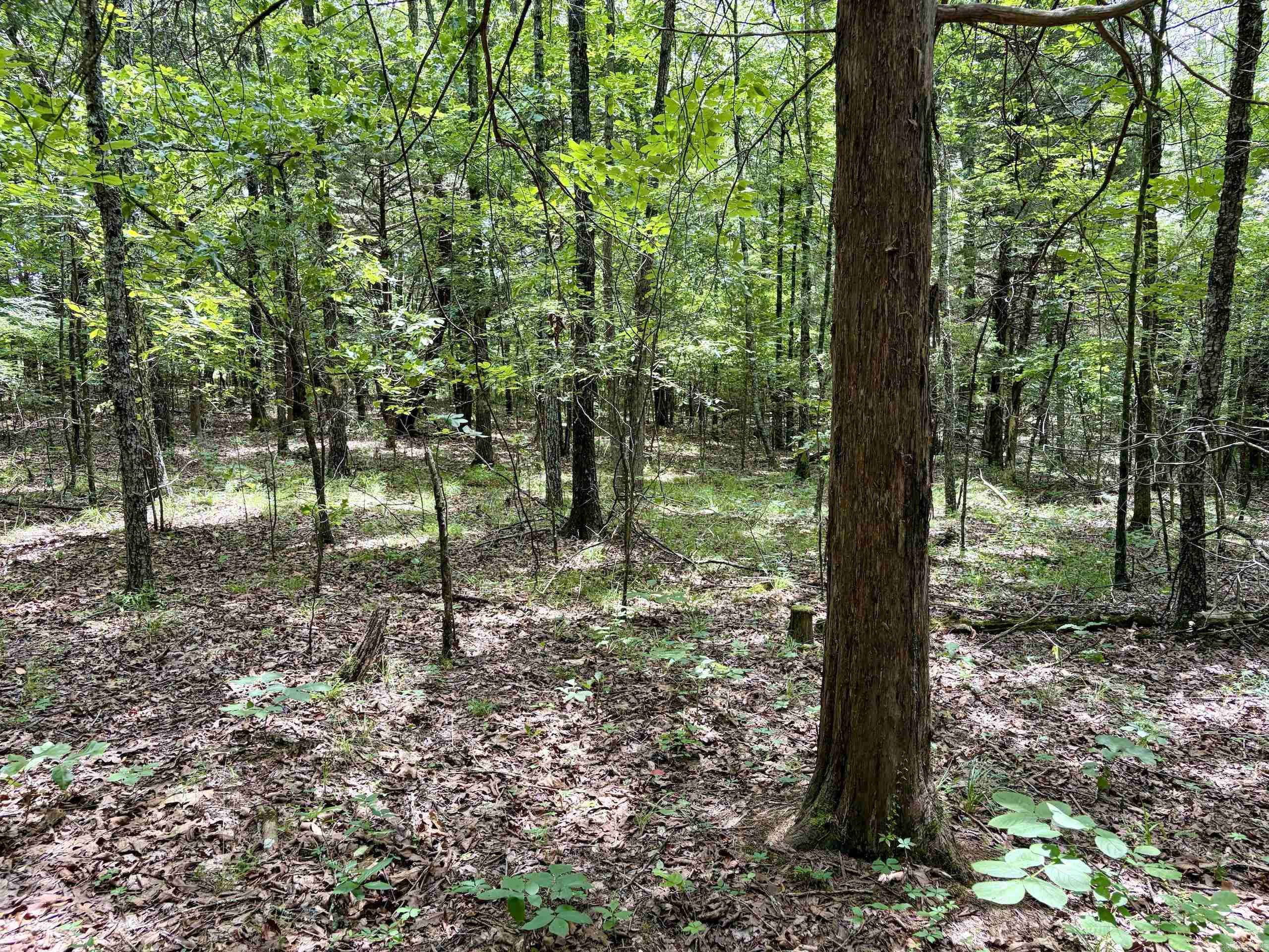 Cranford Acres - Land