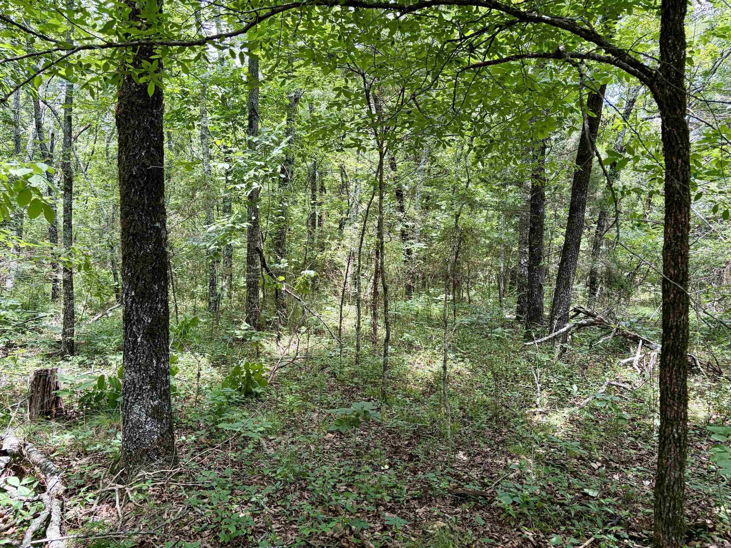 Cranford Acres - Land