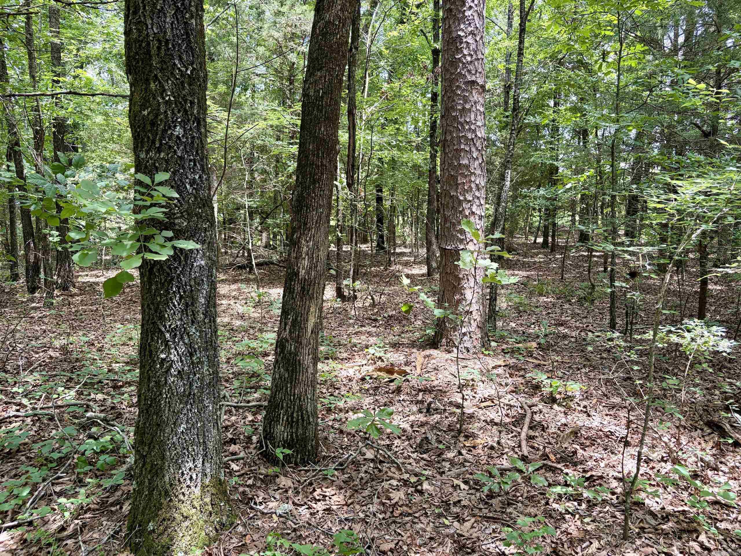 Cranford Acres - Land